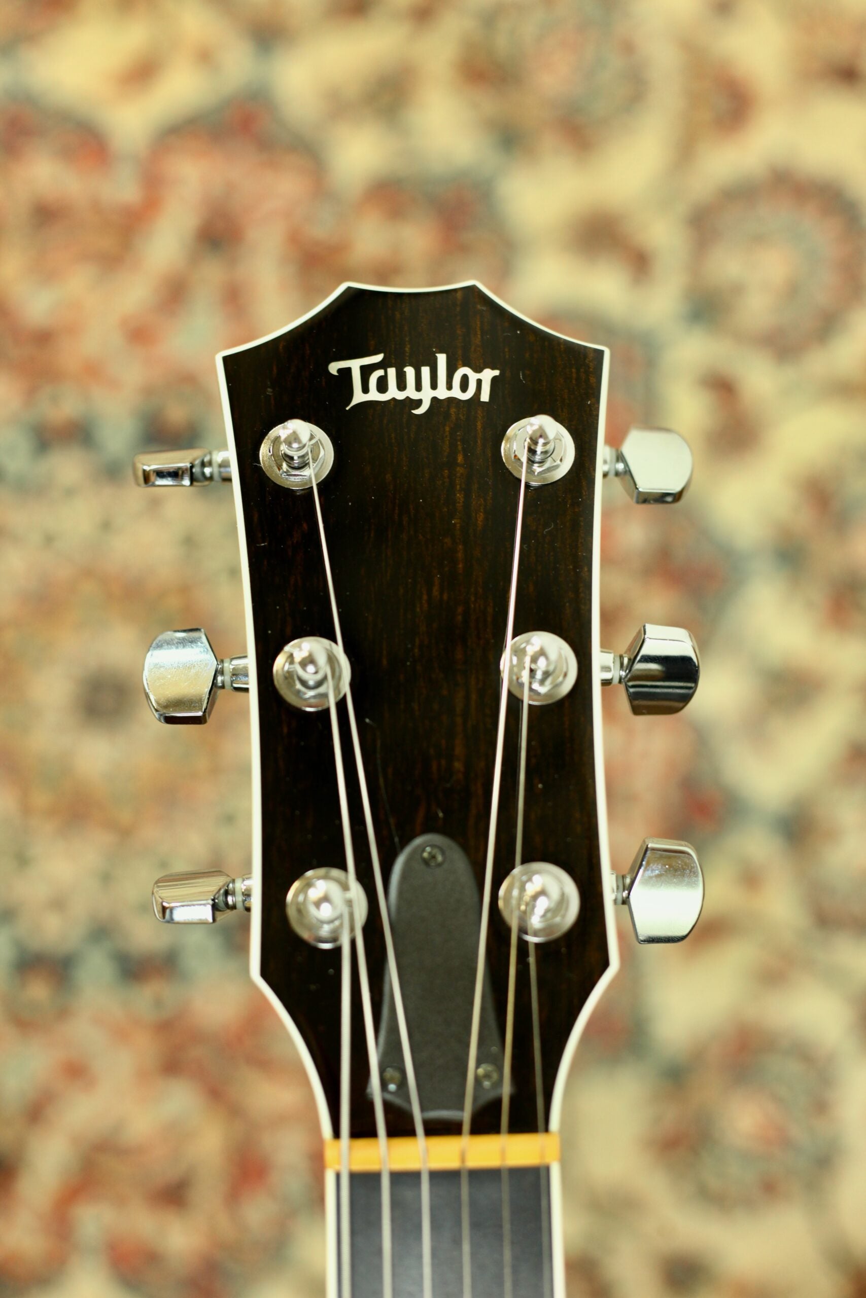 Taylor T3 Semi-Hollowbody | Black
