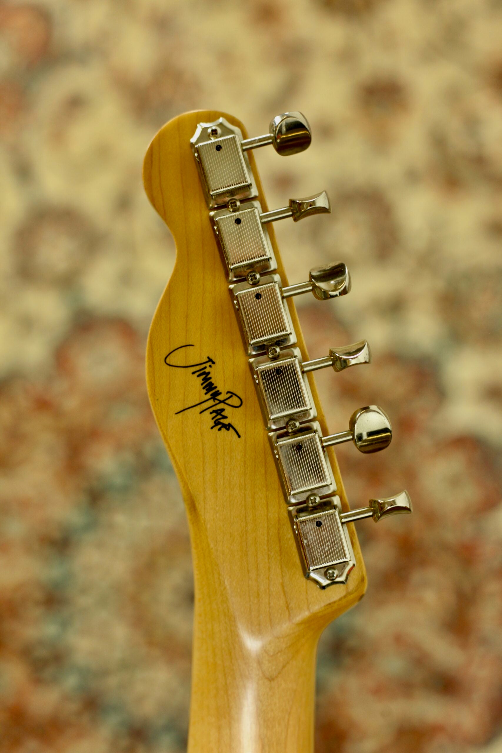 Fender  Fender Jimmy Page Telecaster RW | Dragon Graphic