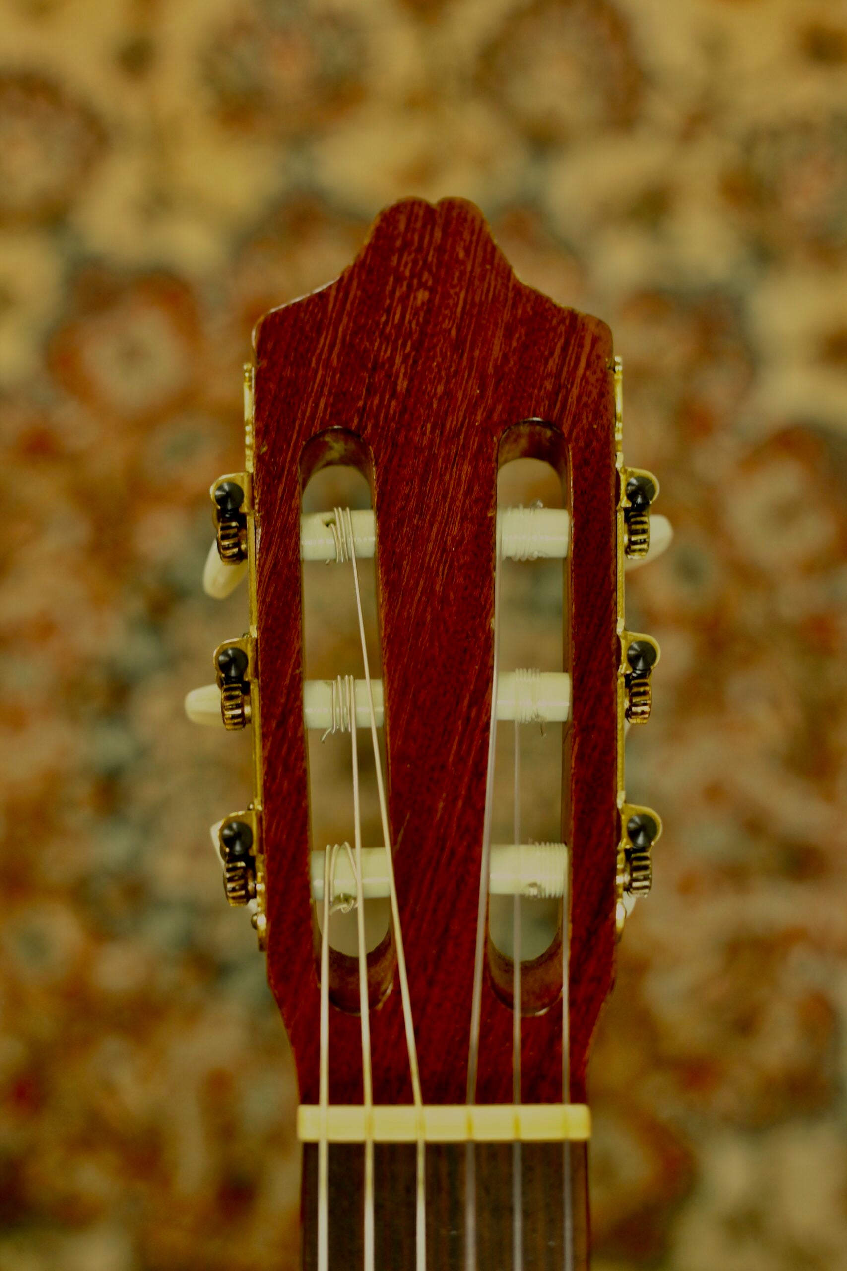 Gabriela Casas Classical (ca. 1975) | Spruce & Rosewood