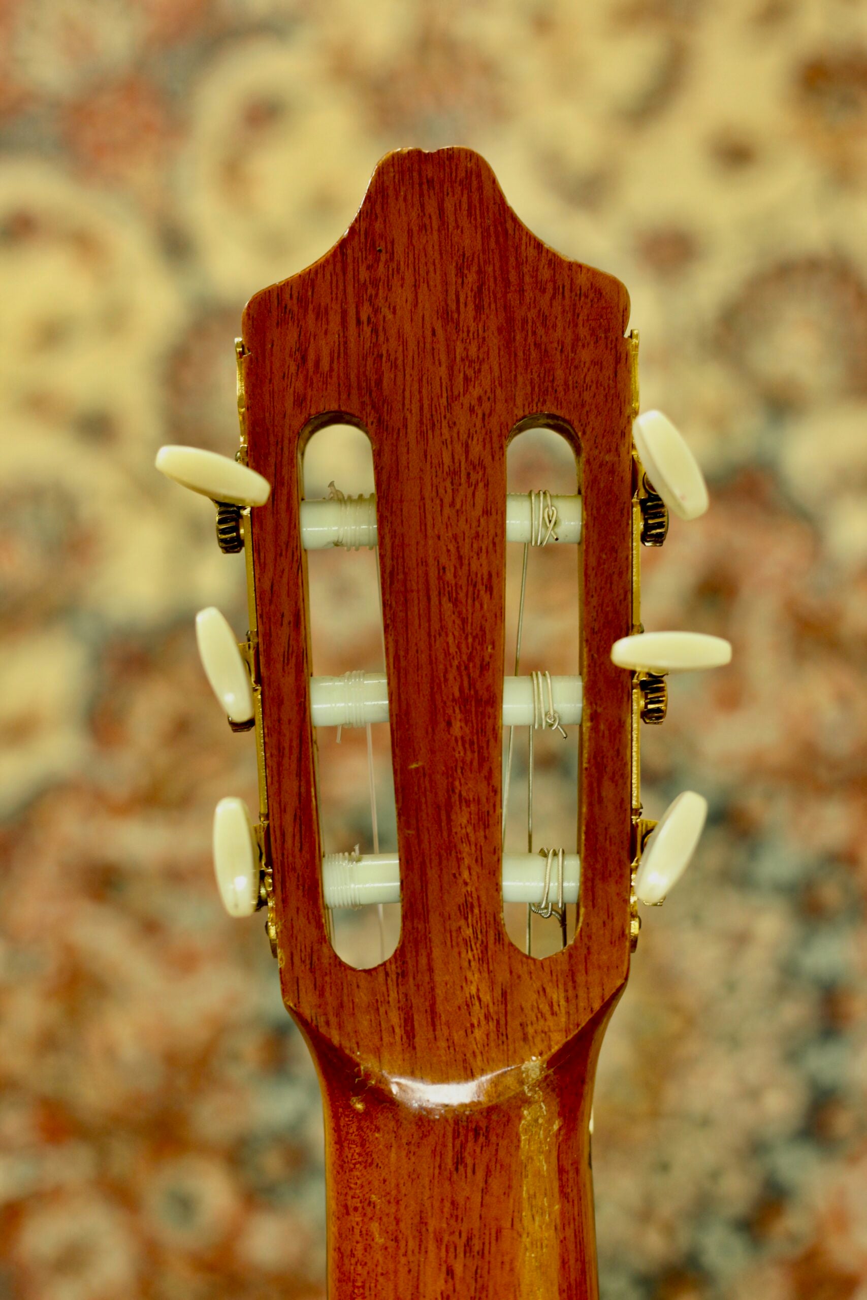 Gabriela Casas Classical (ca. 1975) | Spruce & Rosewood