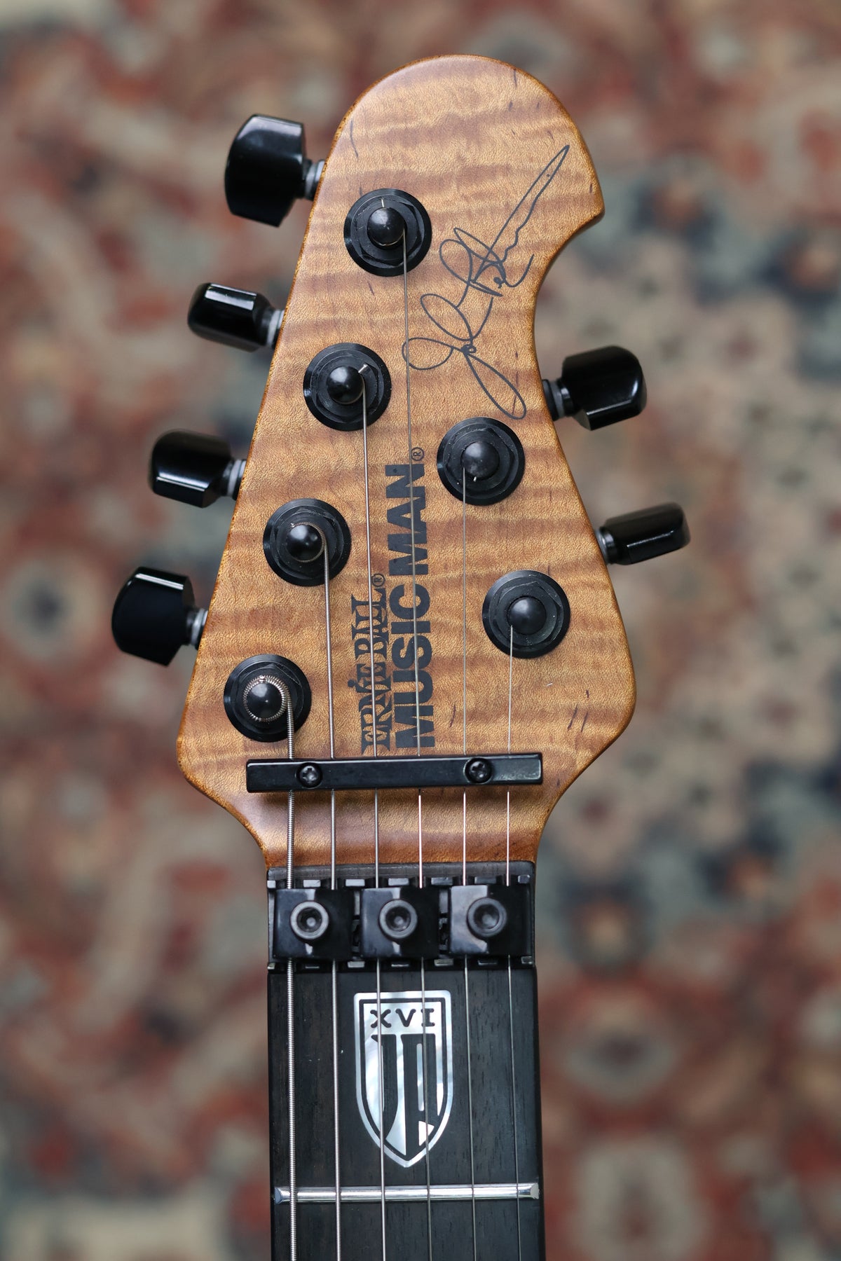 Ernie Ball Musicman JP16 | Black Lava