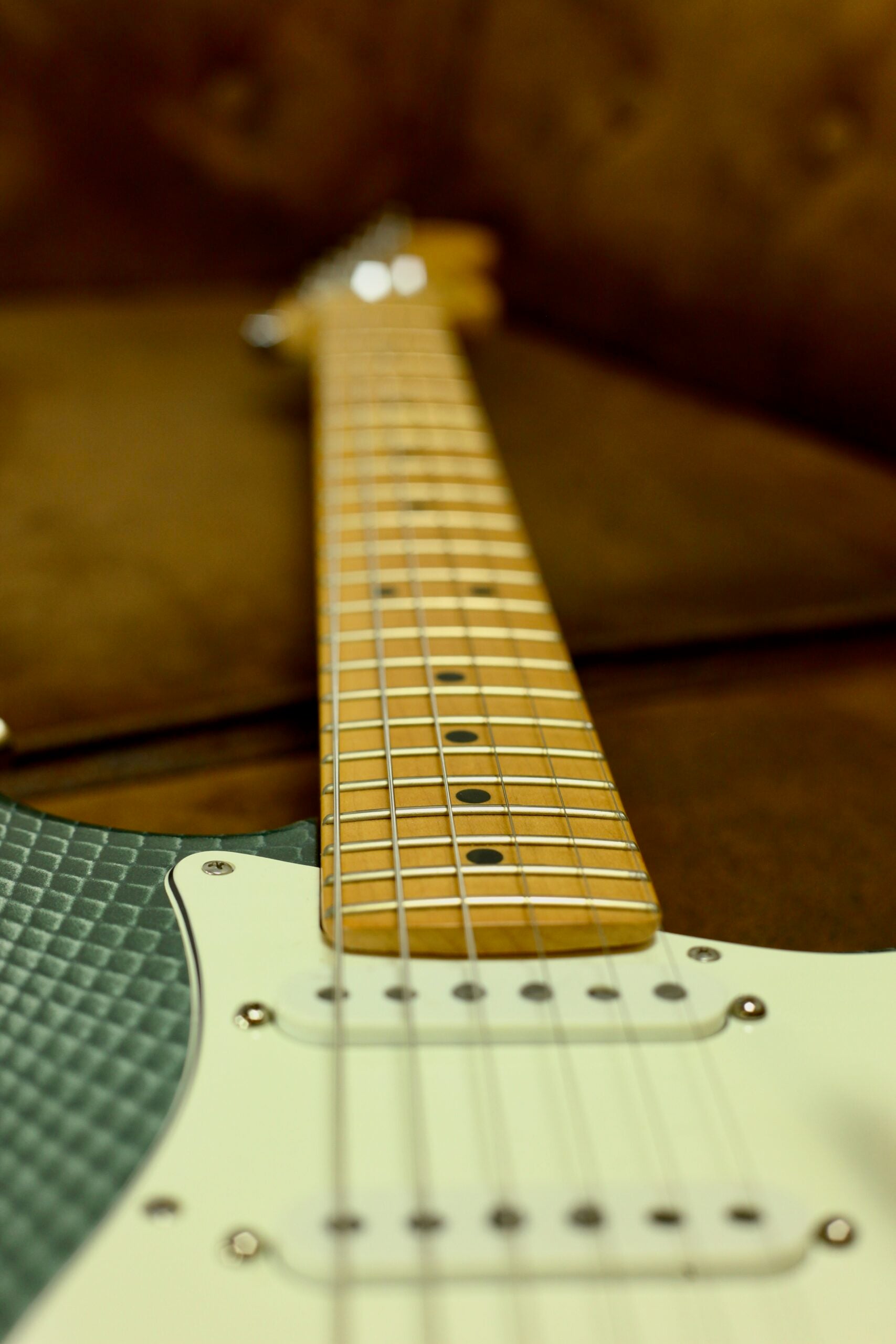 Fender USA Standard Stratocaster 2002 | Snake Skin