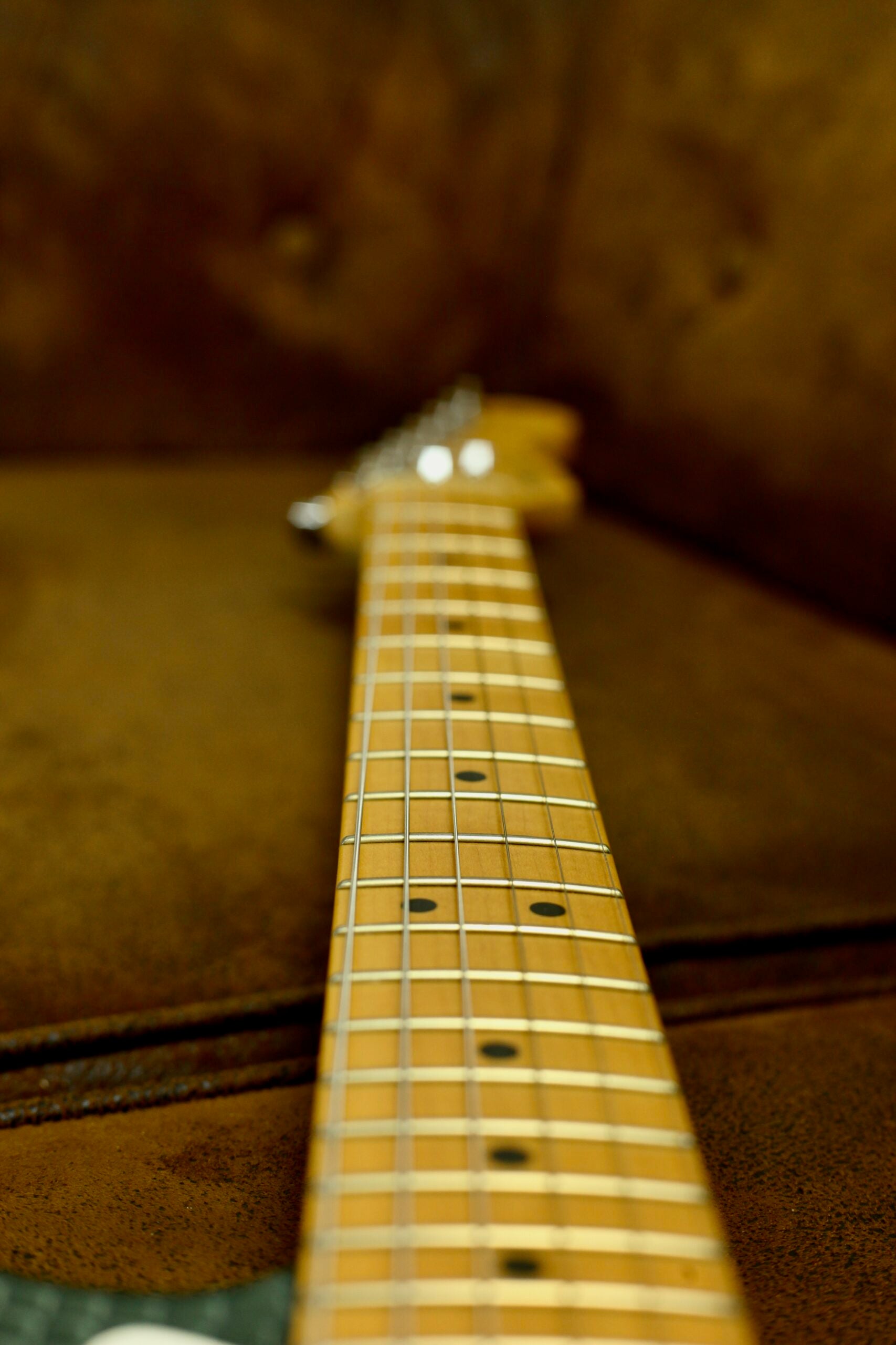 Fender USA Standard Stratocaster 2002 | Snake Skin