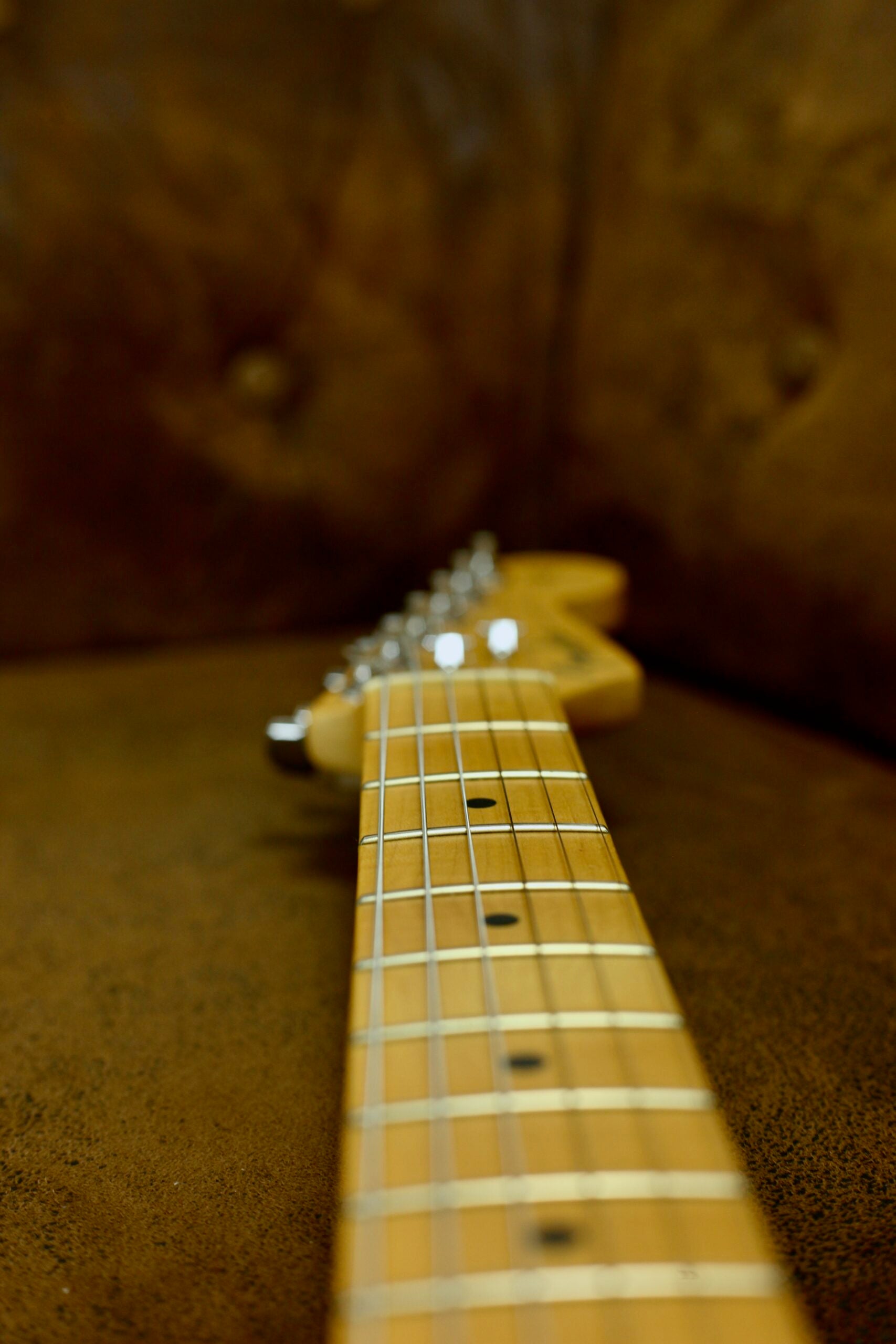 Fender USA Standard Stratocaster 2002 | Snake Skin