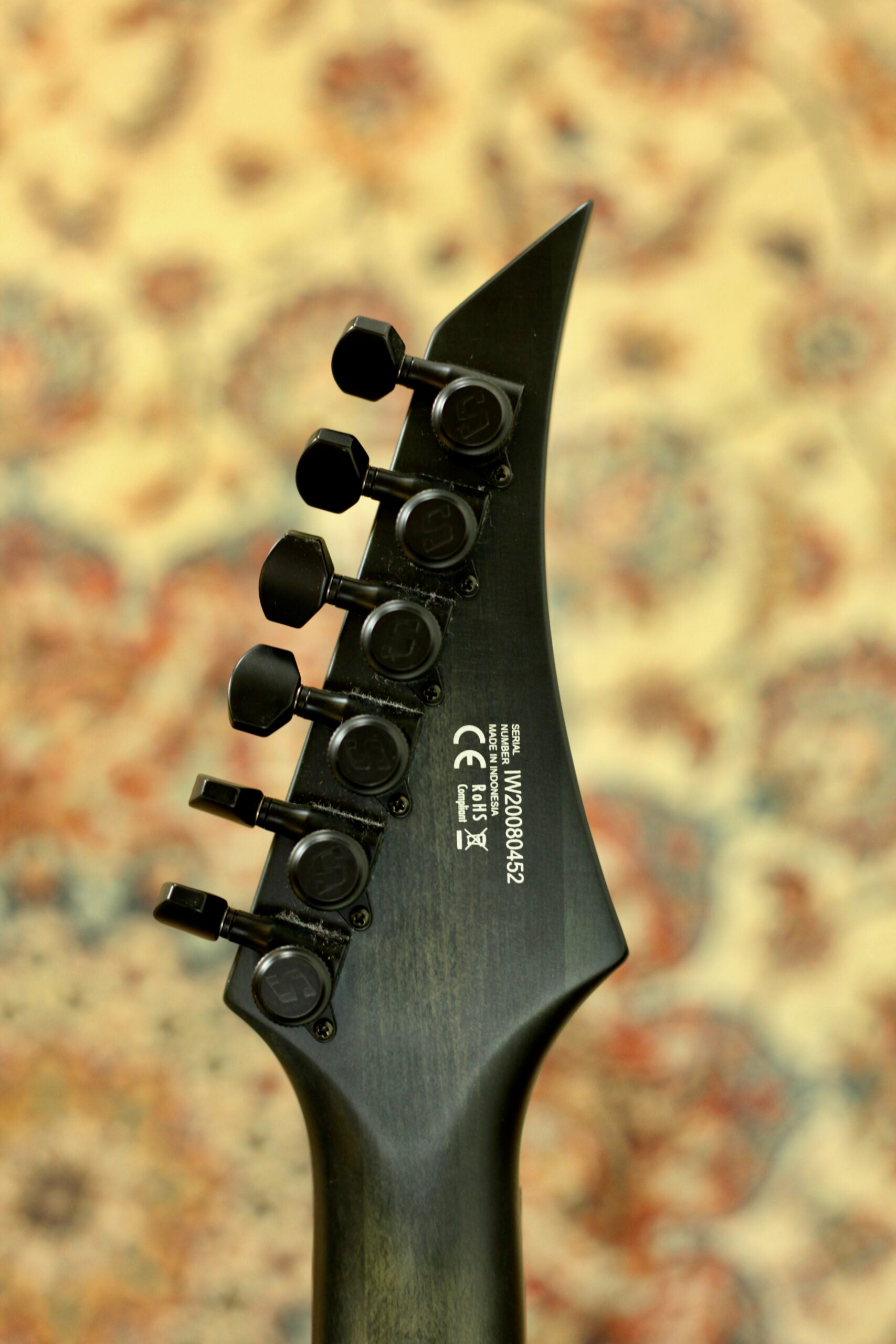 Solar Guitars E1.6 FBB | Matte Black