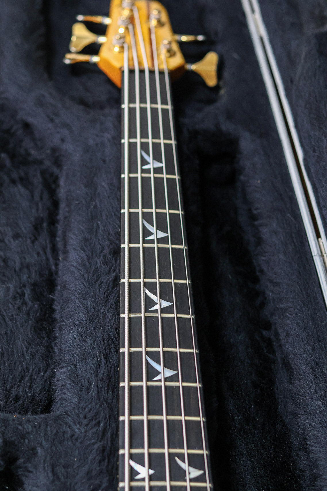 Neuser Courage 5 1995 | Tigerflamed Glossy