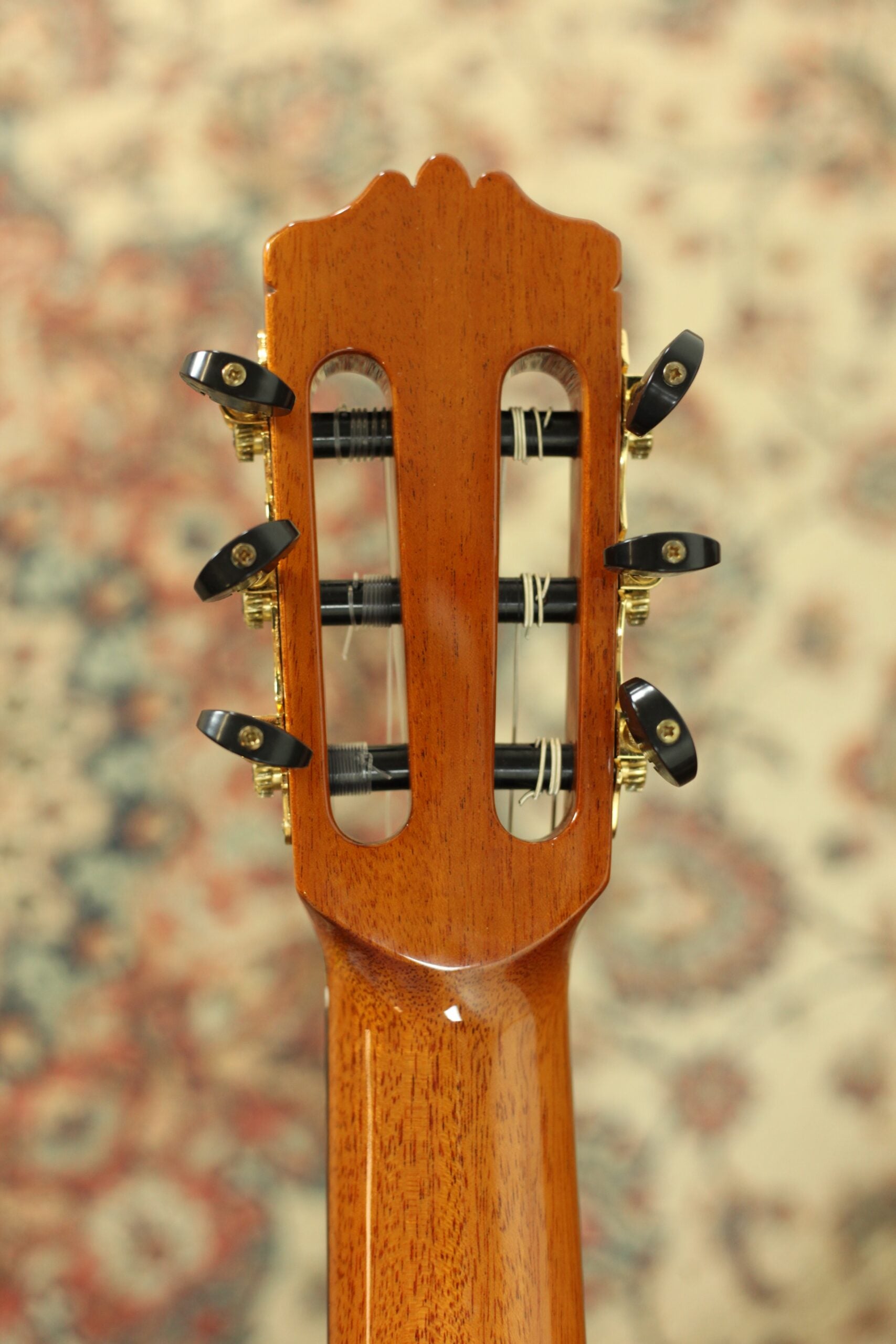 Cordoba C12 Spruce | Natural