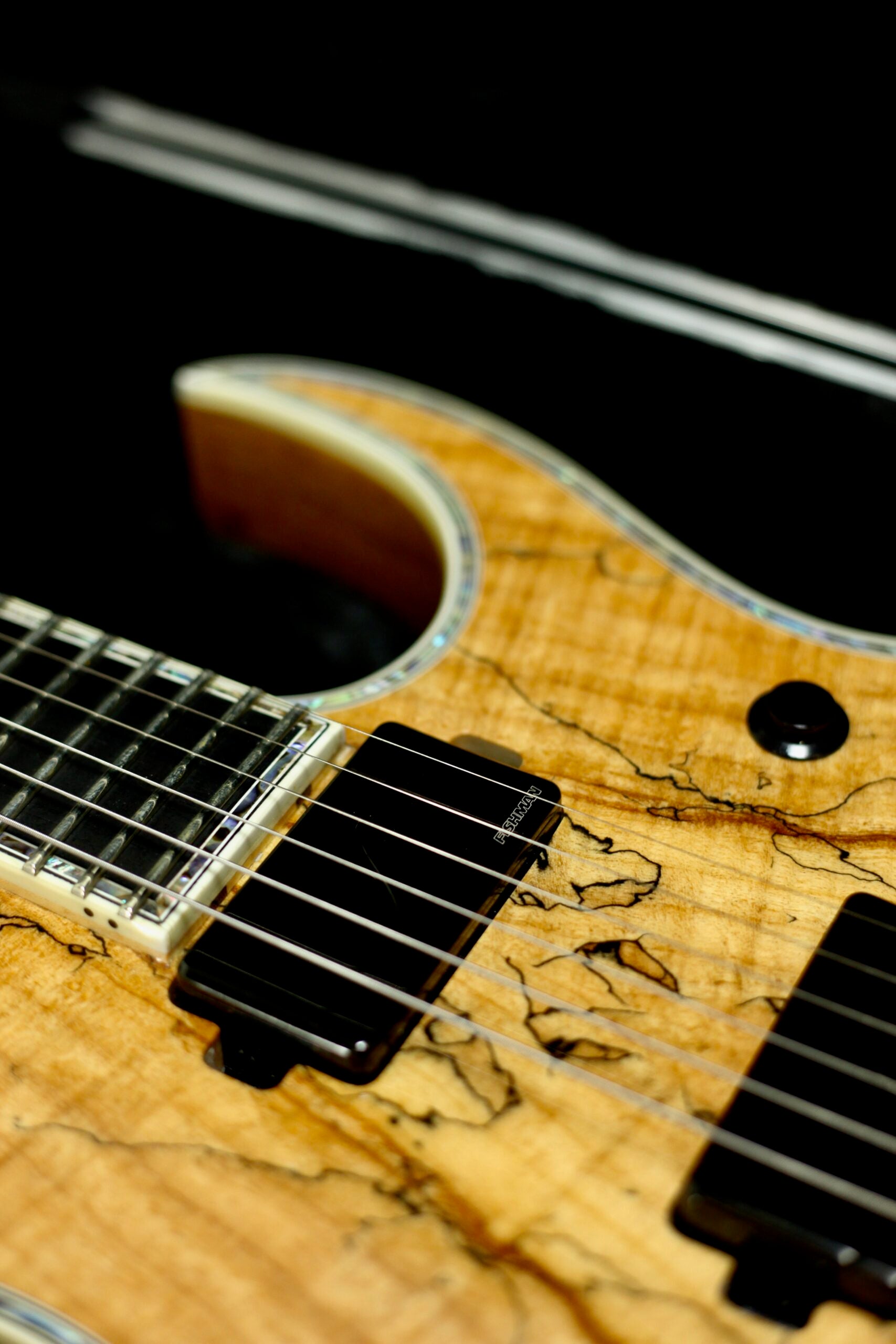 BC Rich Shredzilla Prophecy Exotic | Transparent