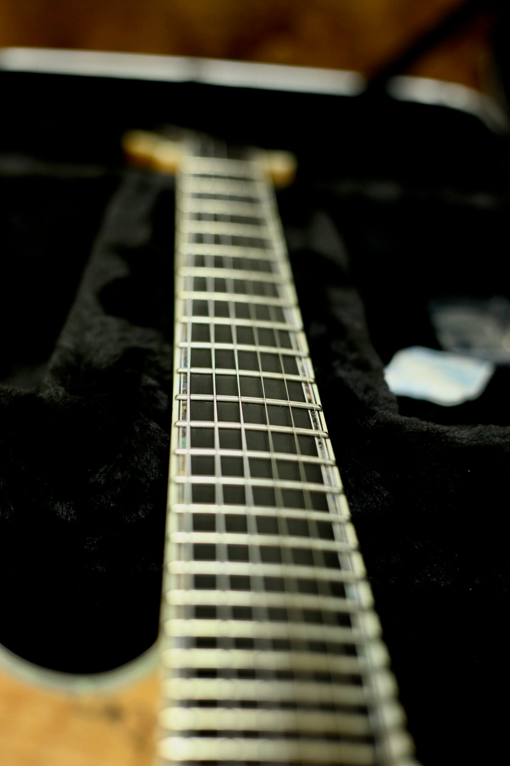 BC Rich Shredzilla Prophecy Exotic | Transparent