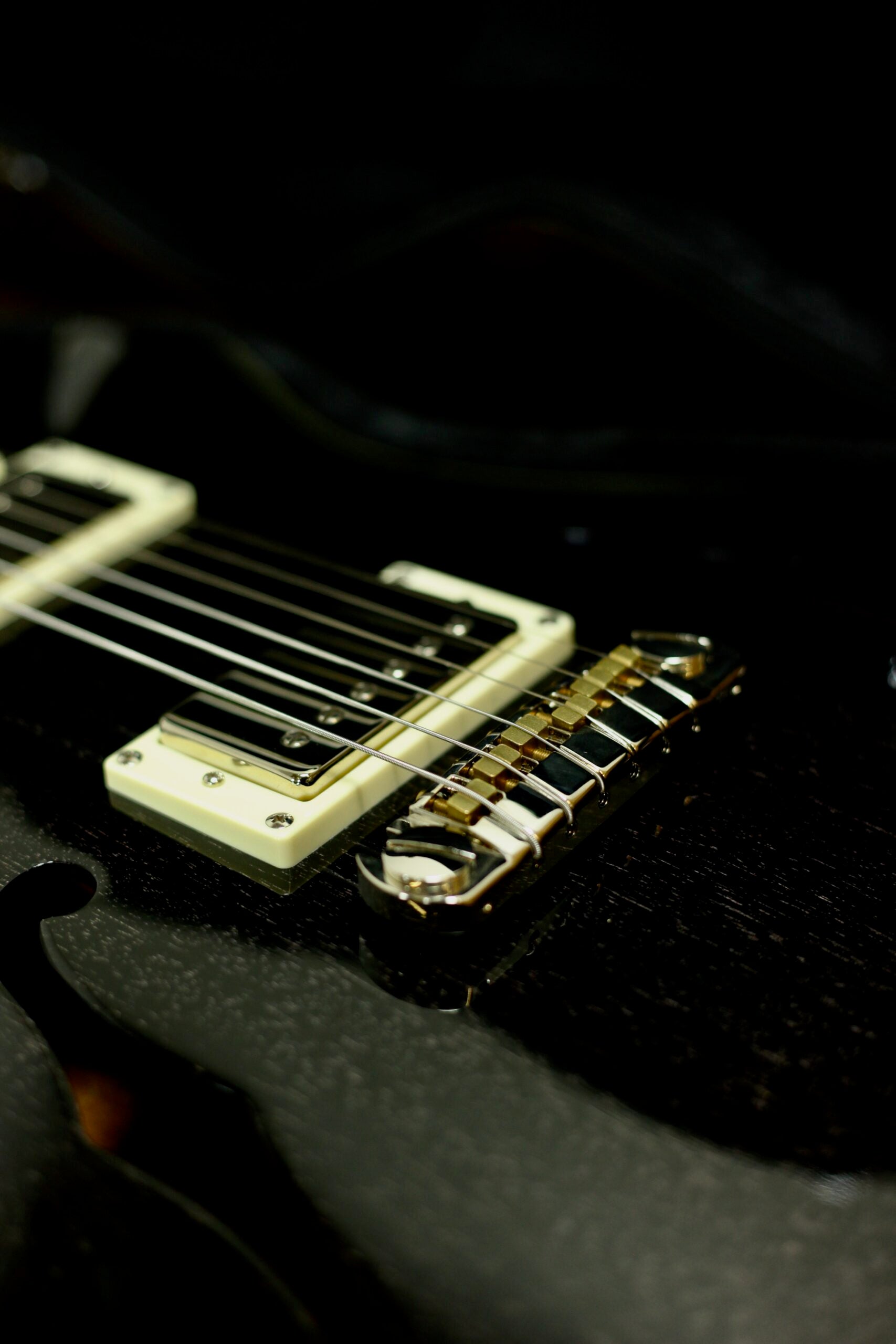 PRS SE Hollowbody Standard | Doghair Smokeburst