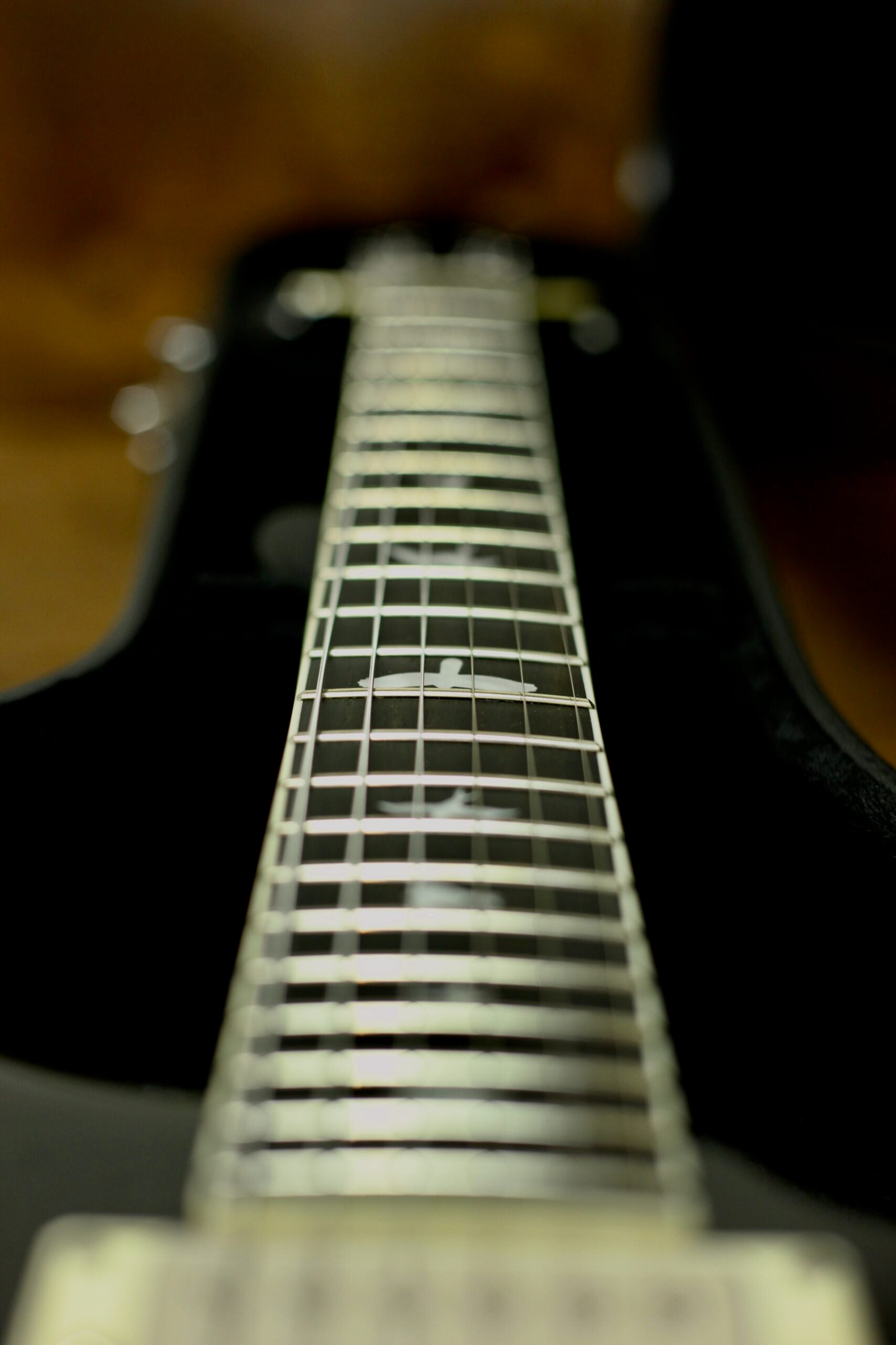 PRS SE Hollowbody Standard | Doghair Smokeburst