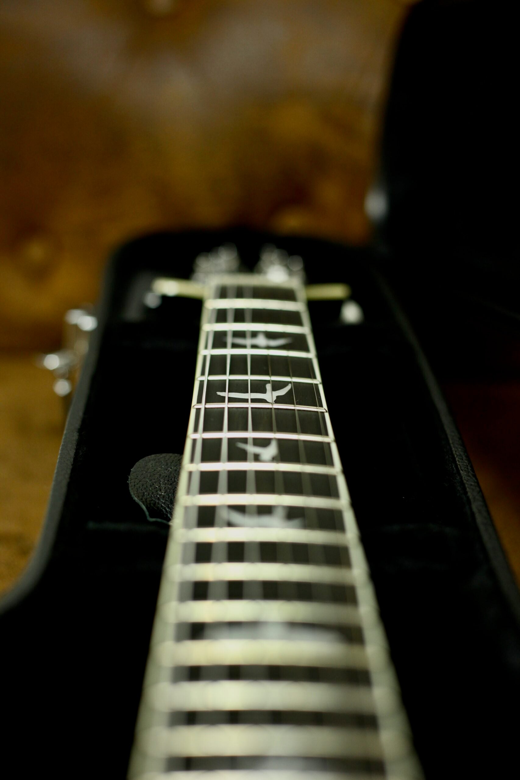 PRS SE Hollowbody Standard | Doghair Smokeburst