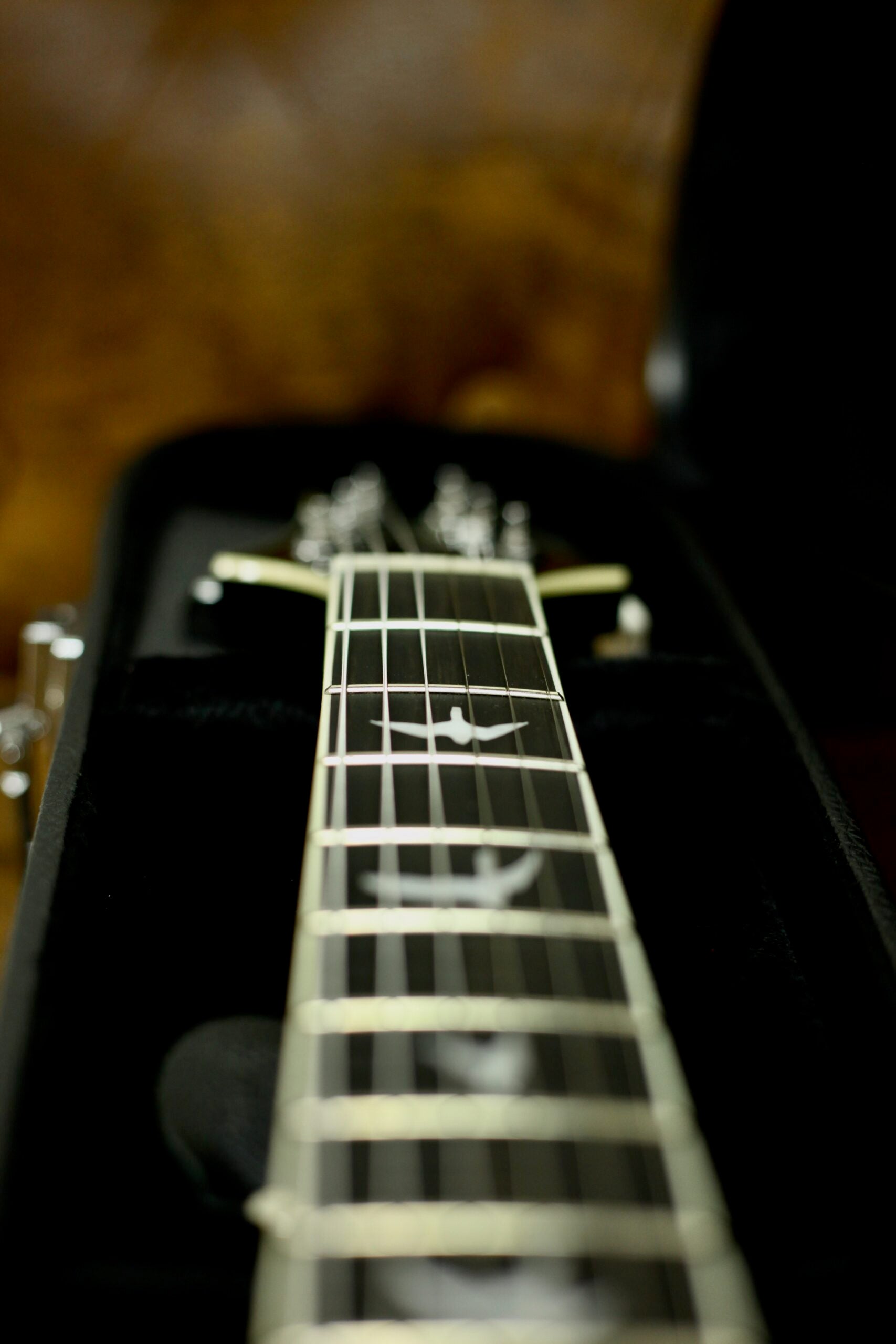PRS SE Hollowbody Standard | Doghair Smokeburst