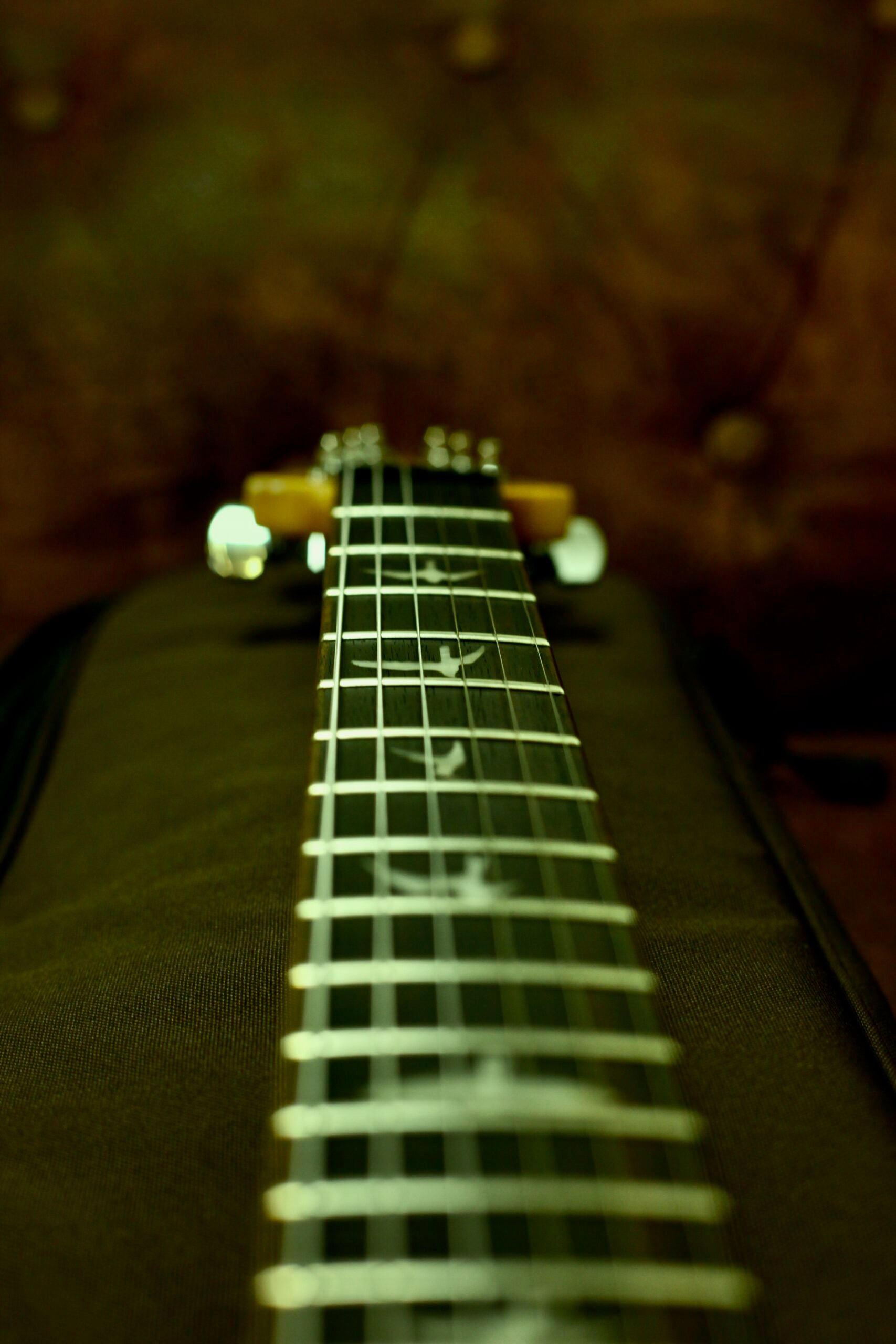 PRS SE Custom 24 2024 | Turqoise