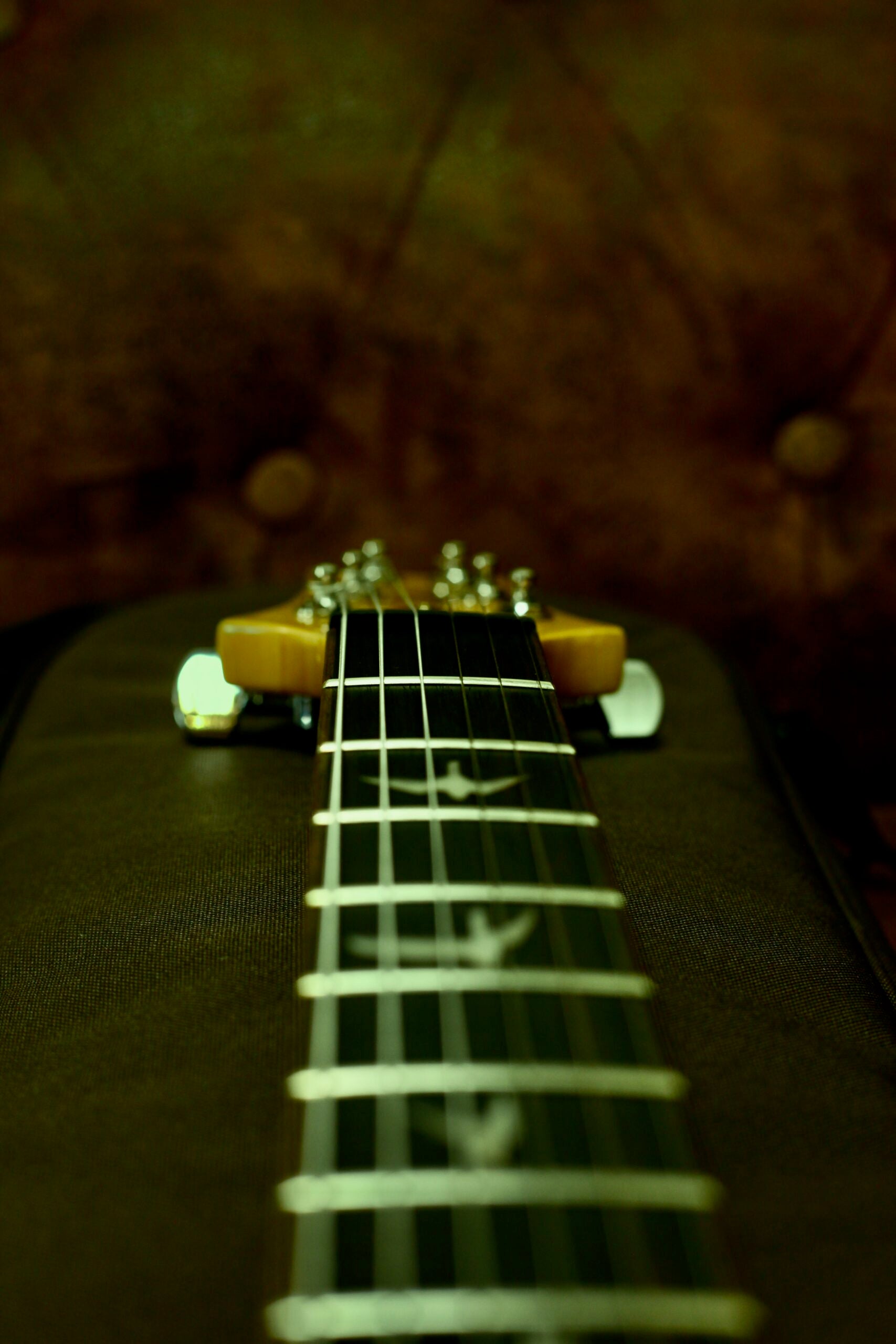 PRS SE Custom 24 2024 | Turqoise