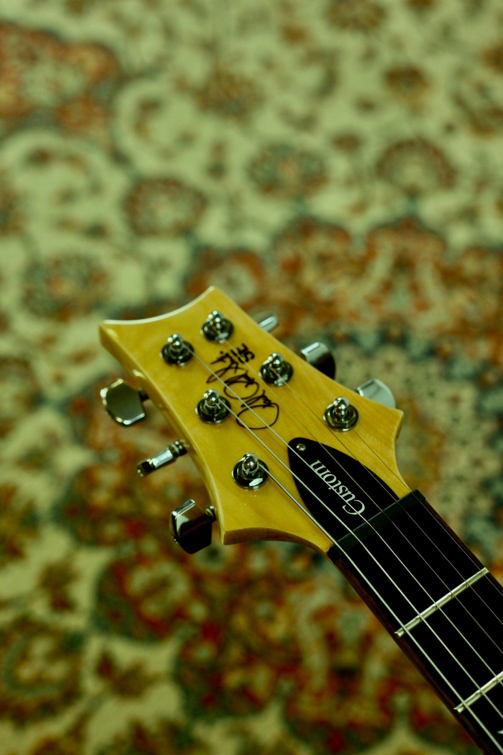 PRS SE Custom 24 2024 | Turqoise