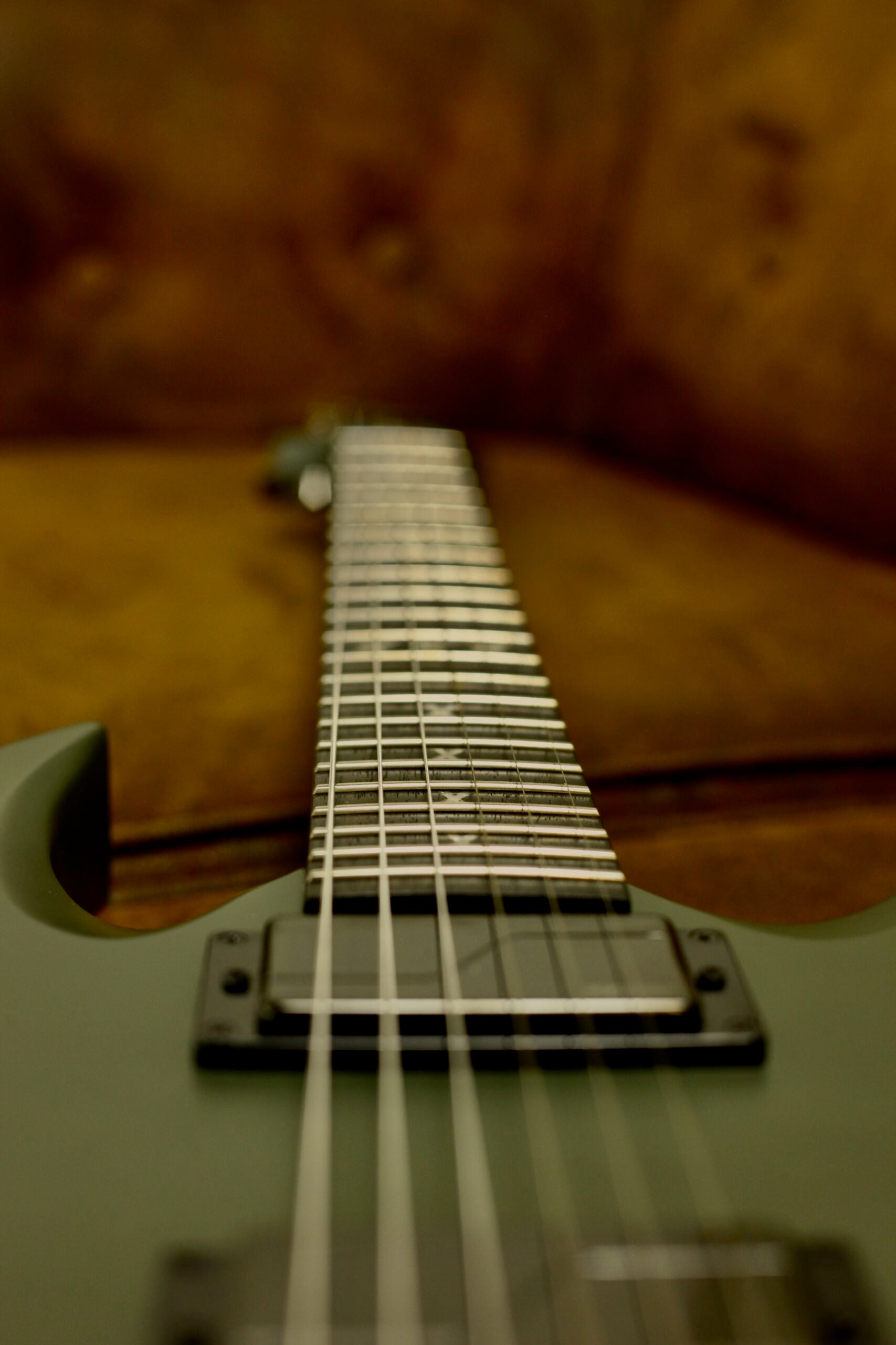 ESP LTD Max Cavalera Max-200 | Military Green