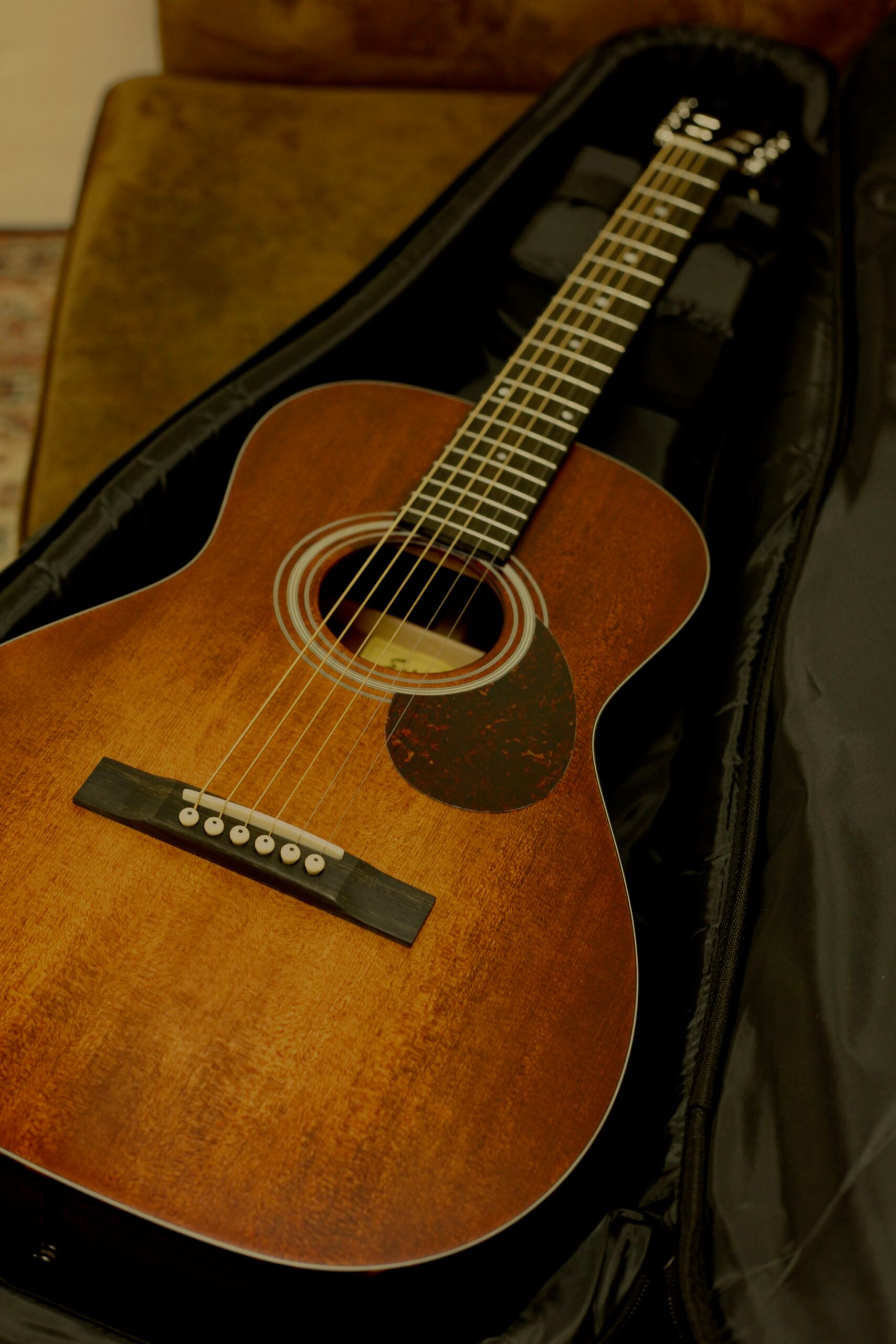 Eastman E1P-CLA | Truetone Satin
