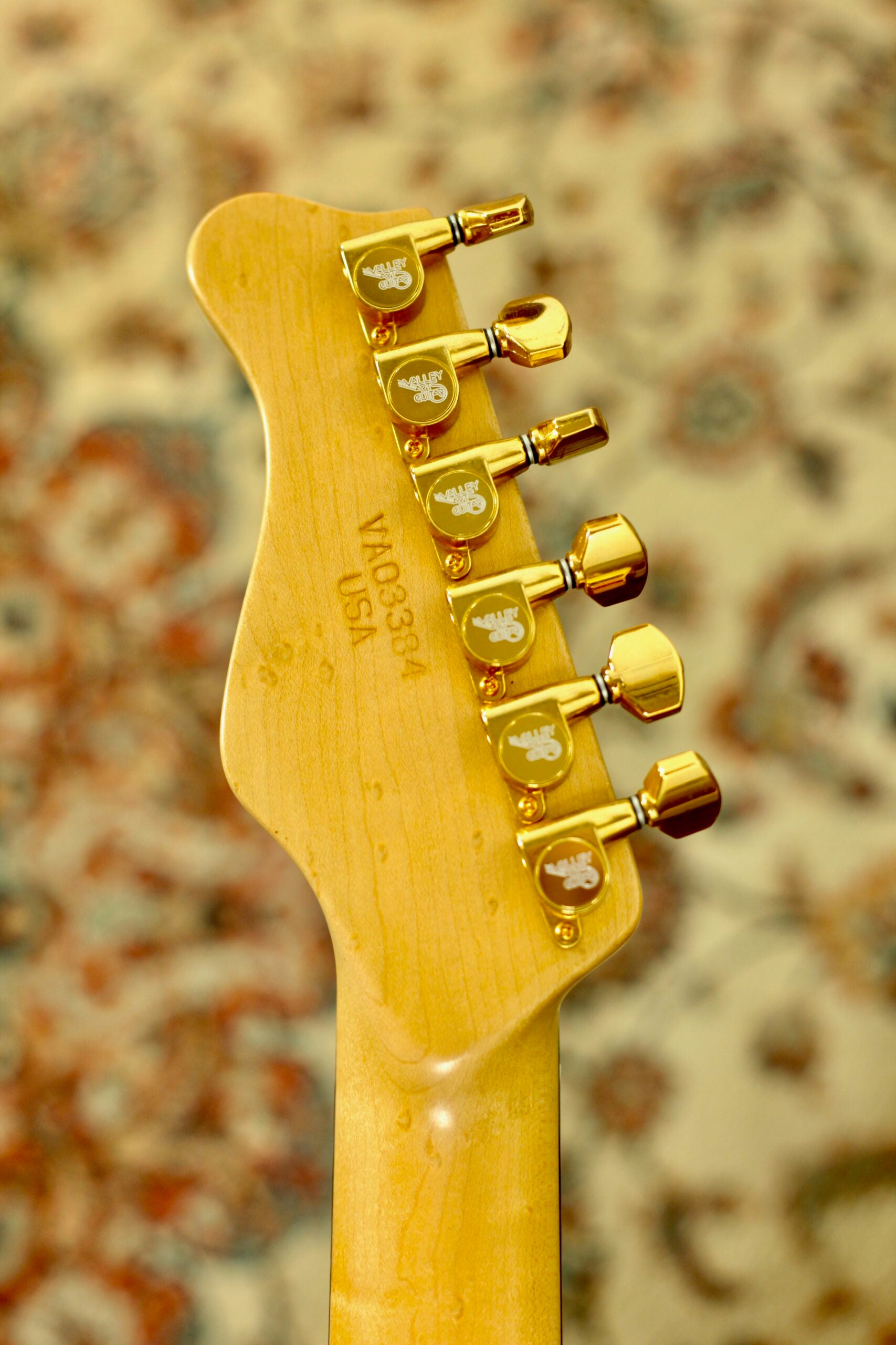 Valley Arts Custom Pro QM | Aqua Burst