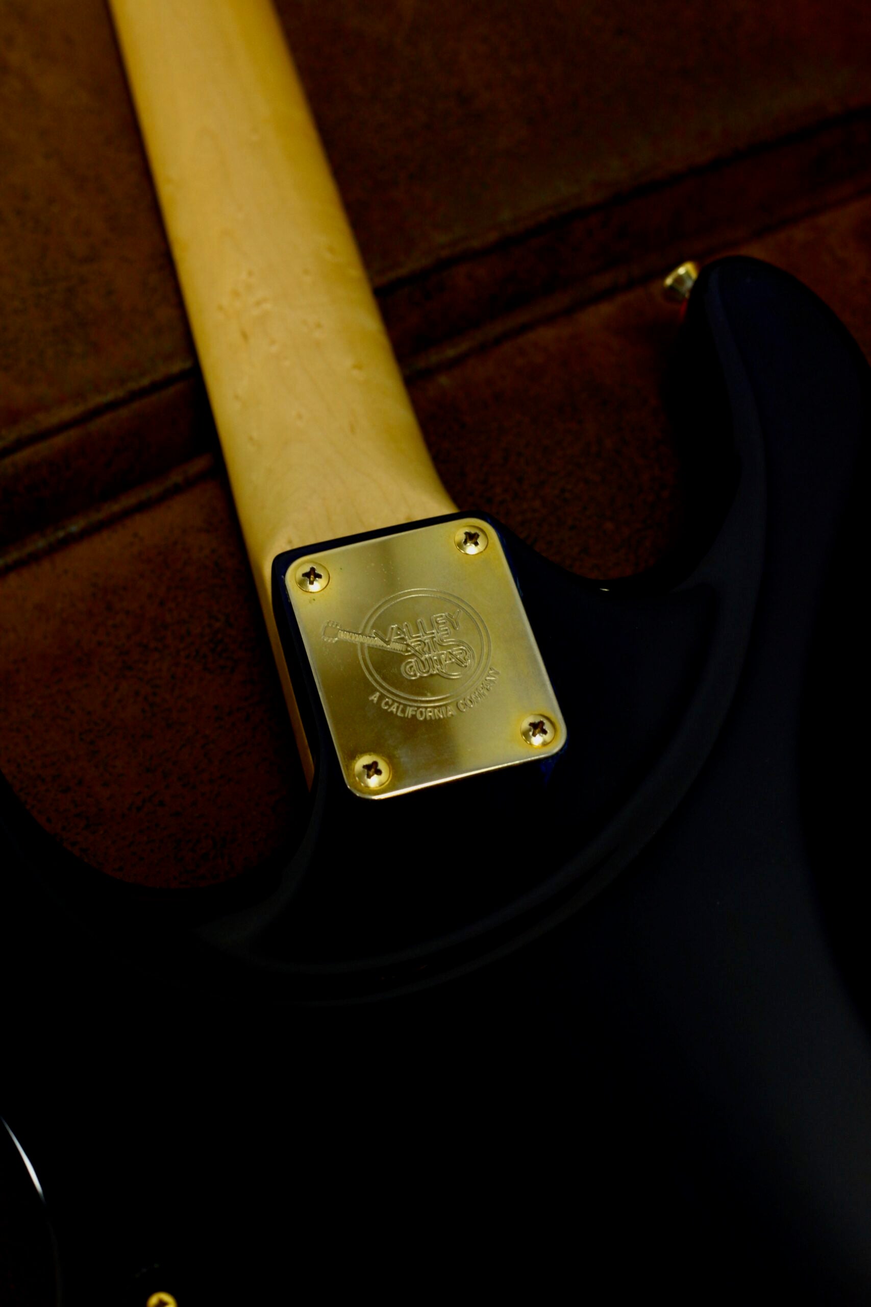 Valley Arts Custom Pro QM | Aqua Burst