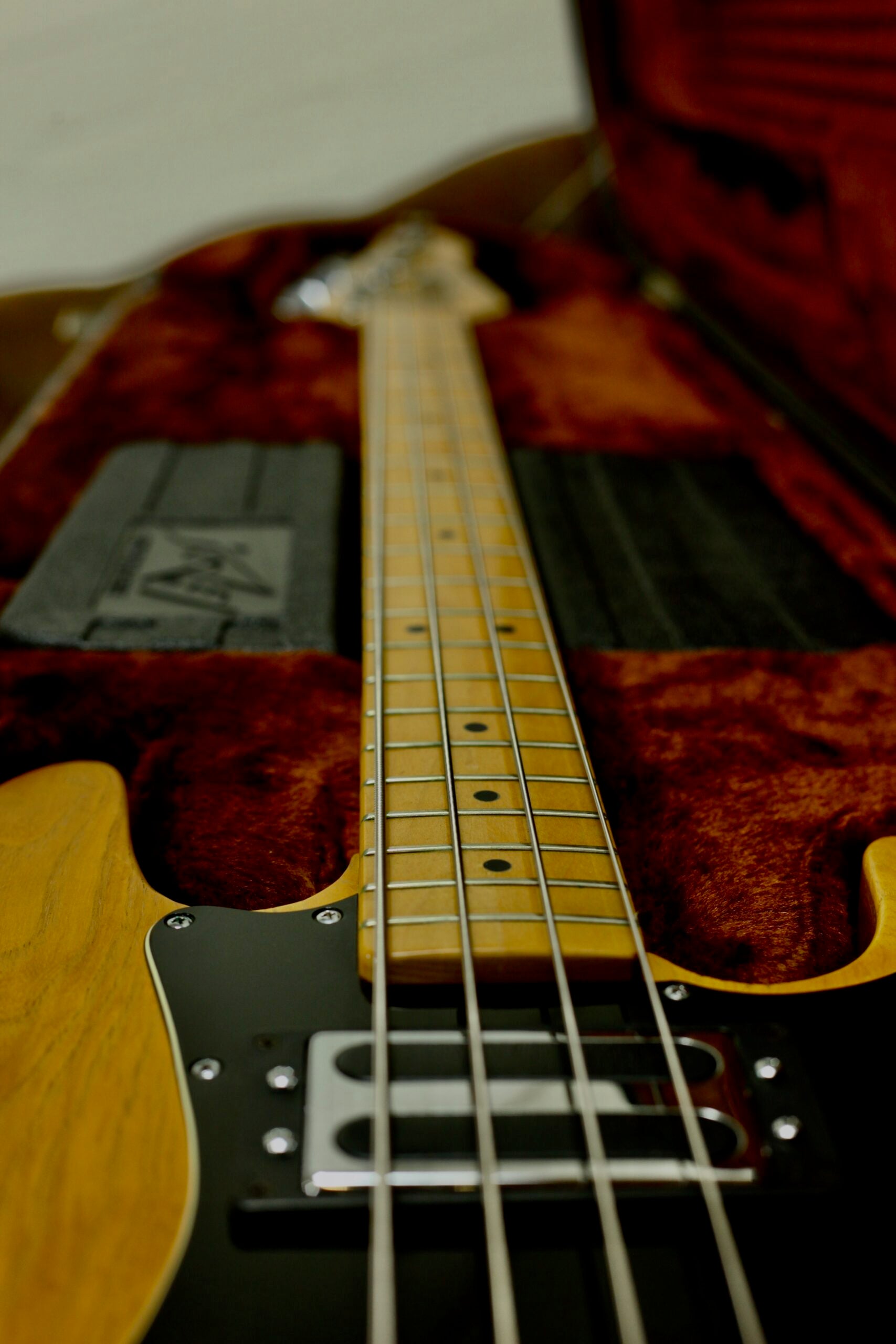 Peavey T-40 Maple Fretboard 1981 | Natural