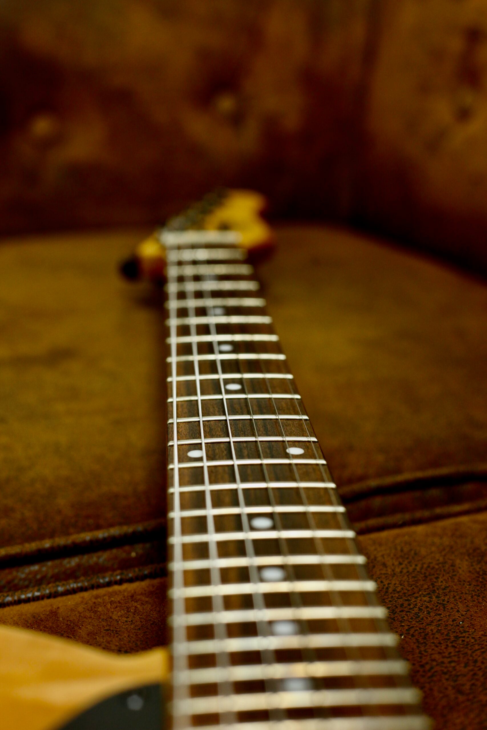 Michael Kelly Burl 50 | Ultra Natural Burl