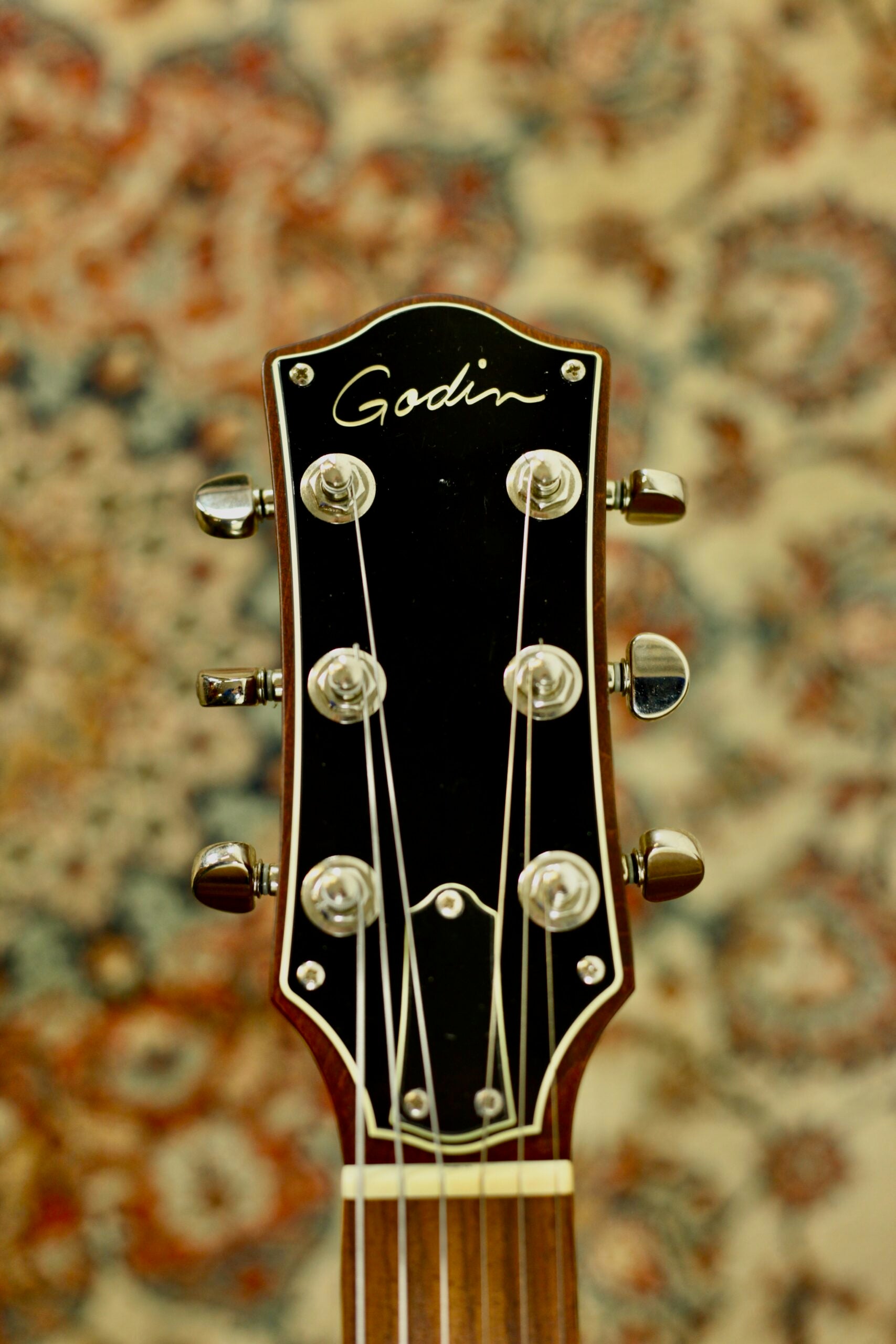 Godin Radiator 2020 | Matte Black – GitaarBarbaar B.V.