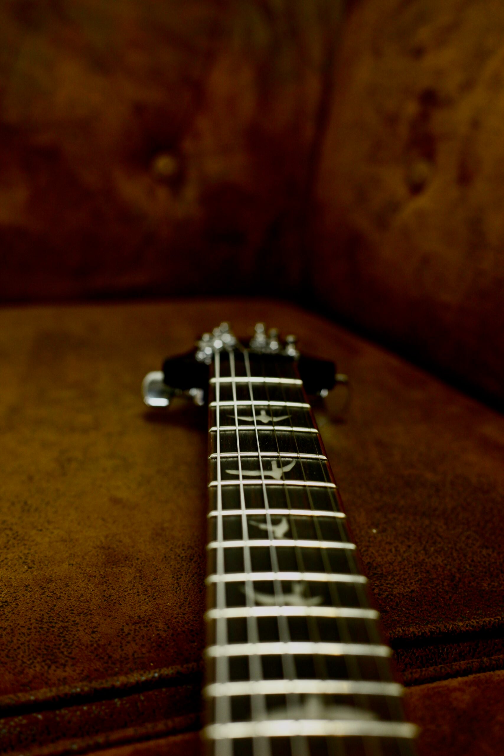 PRS SE DGT 2024 | Tobacco Sunburst