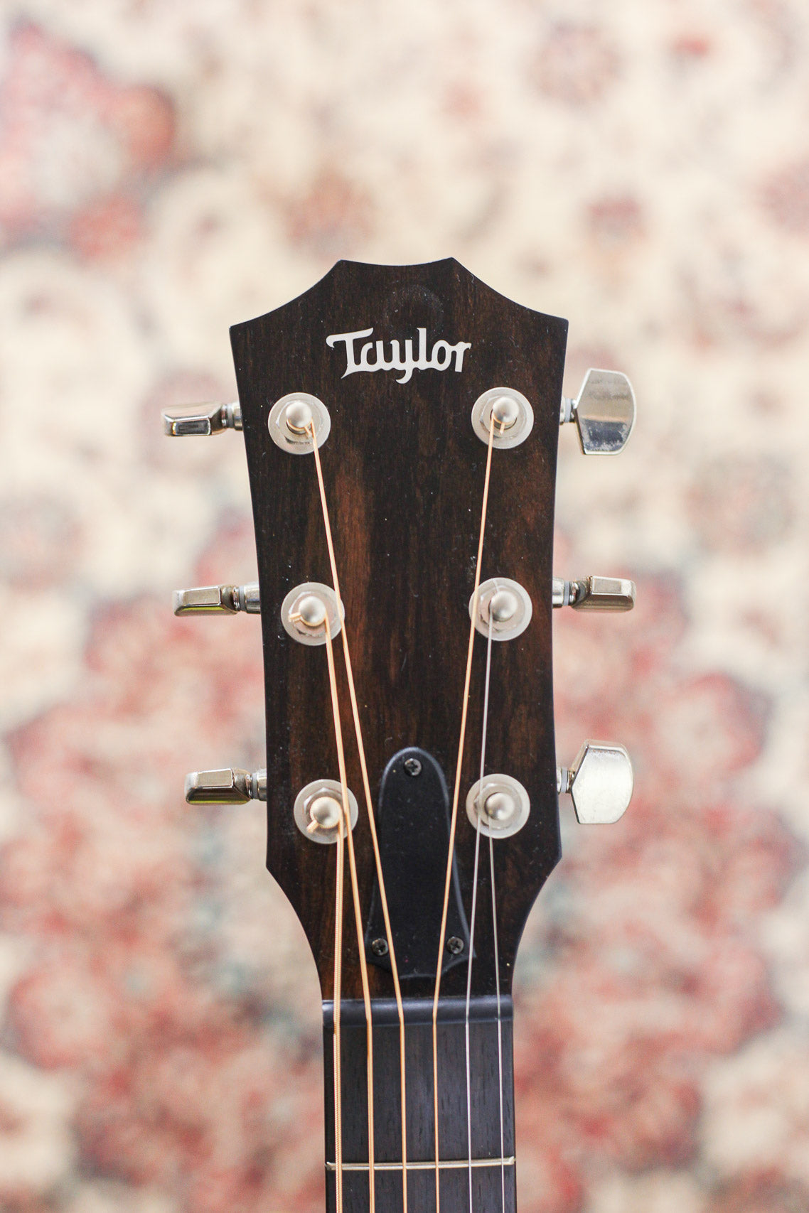 Taylor American Dream AD17 | Natural Top
