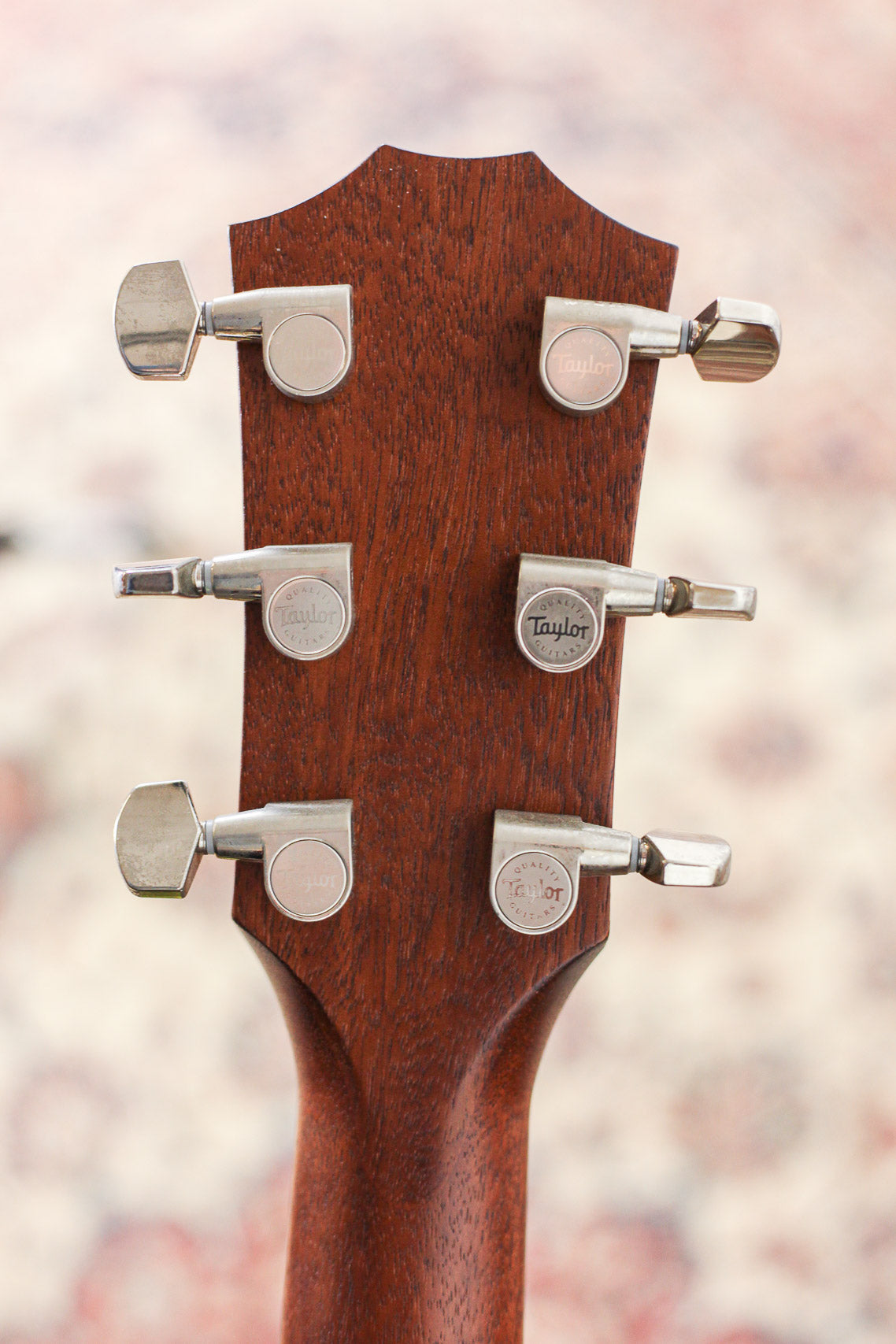 Taylor American Dream AD17 | Natural Top