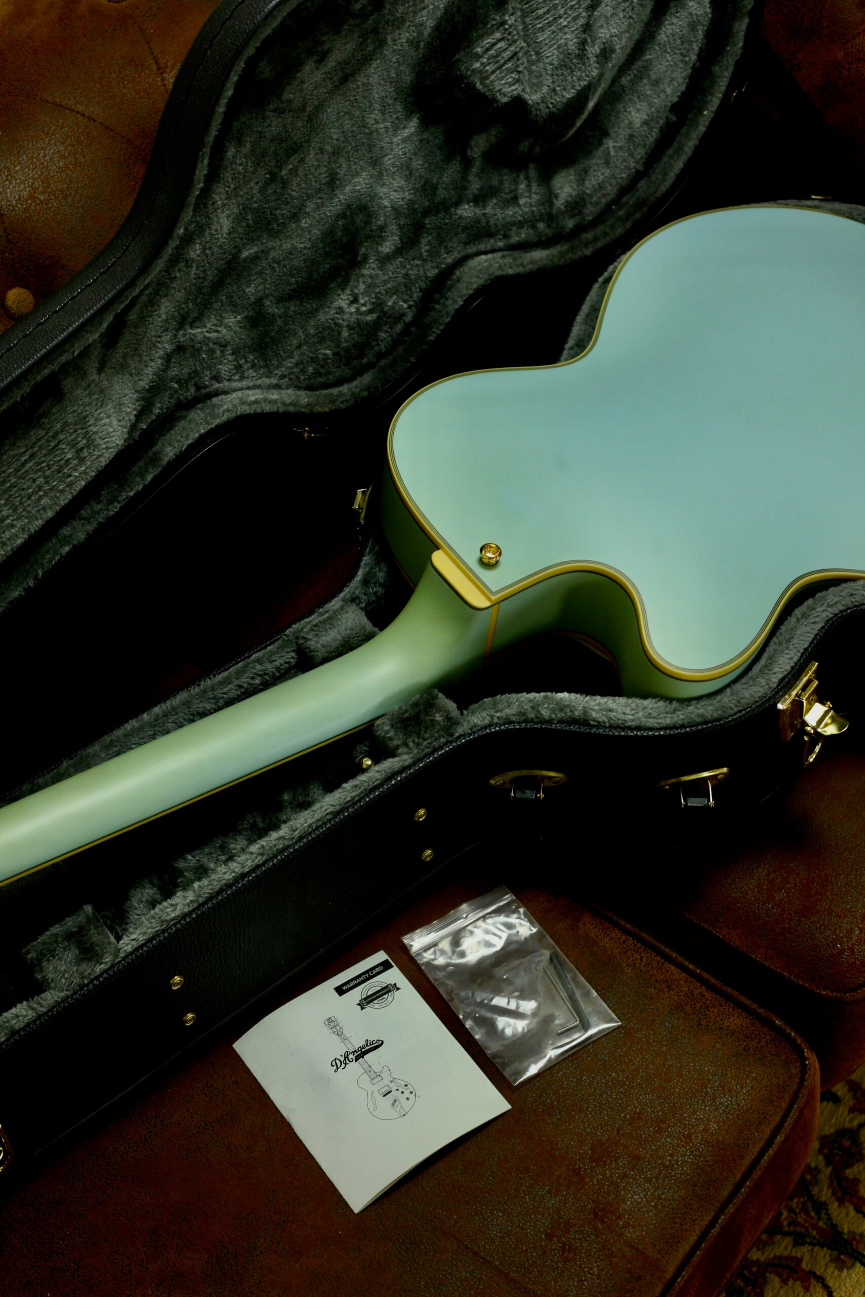 D'Angelico Deluxe Discontinued 2017 | Matte Powder Blue