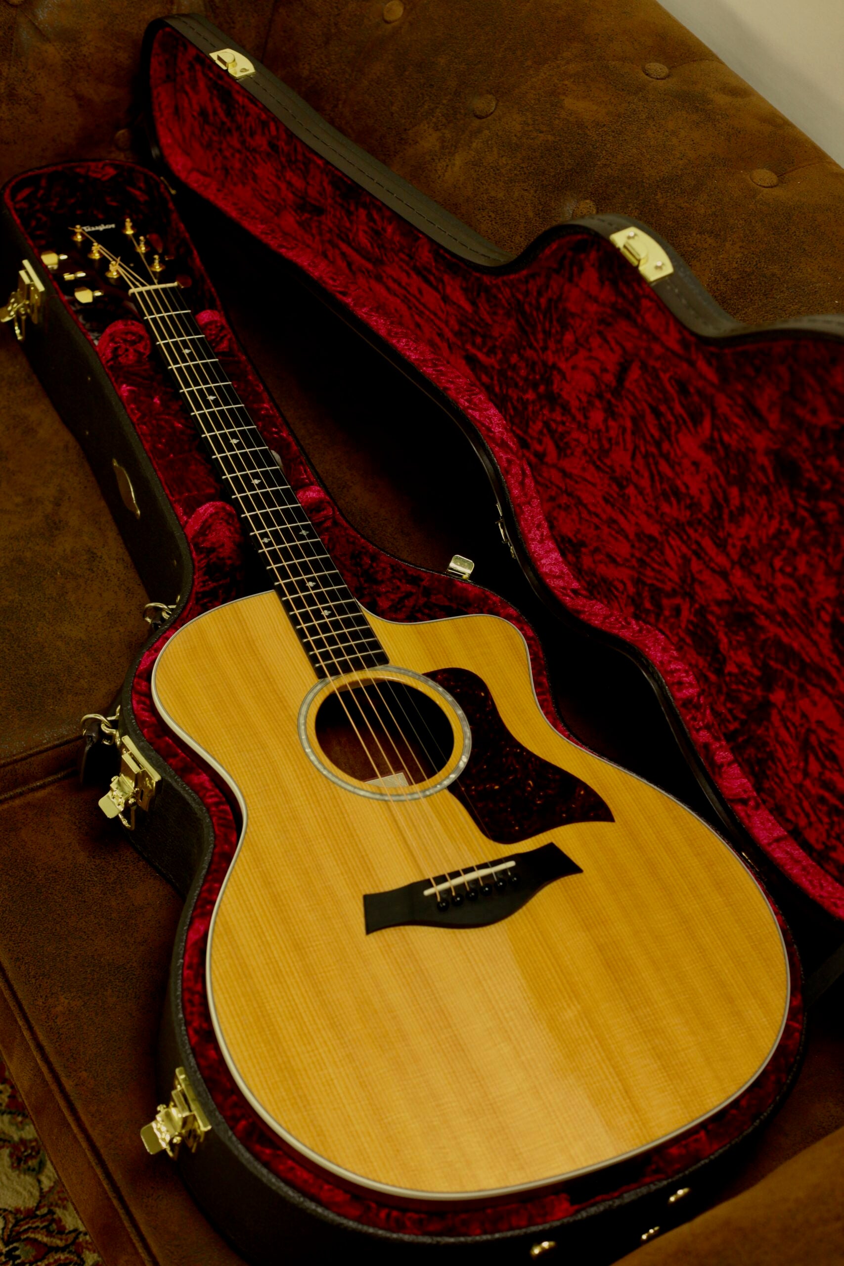 Taylor 214CE-SG LTD | Fumed Sweet Gum