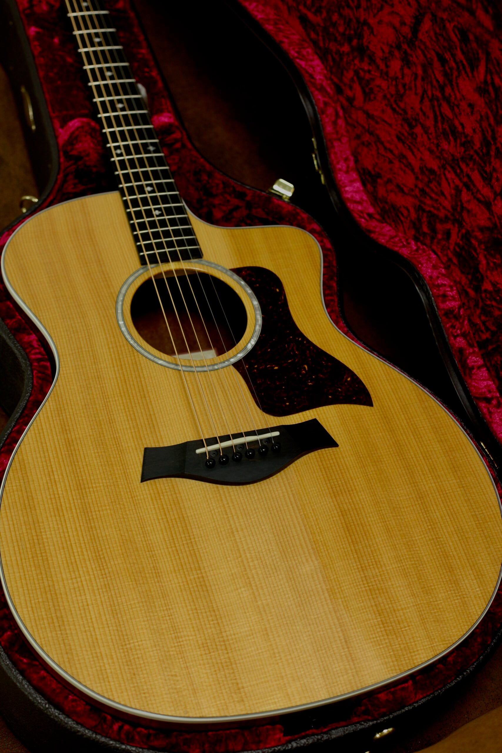 Taylor 214CE-SG LTD | Fumed Sweet Gum