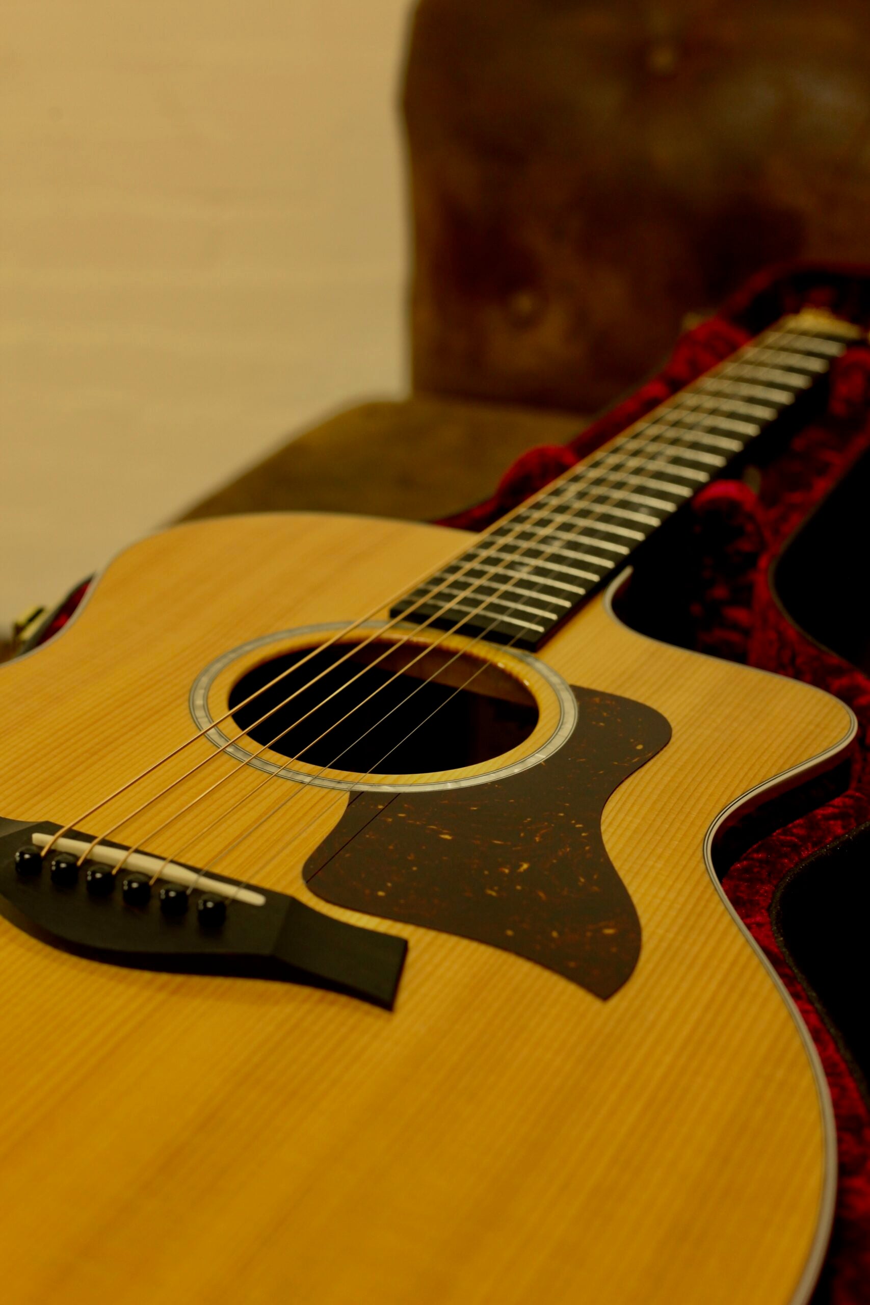 Taylor 214CE-SG LTD | Fumed Sweet Gum