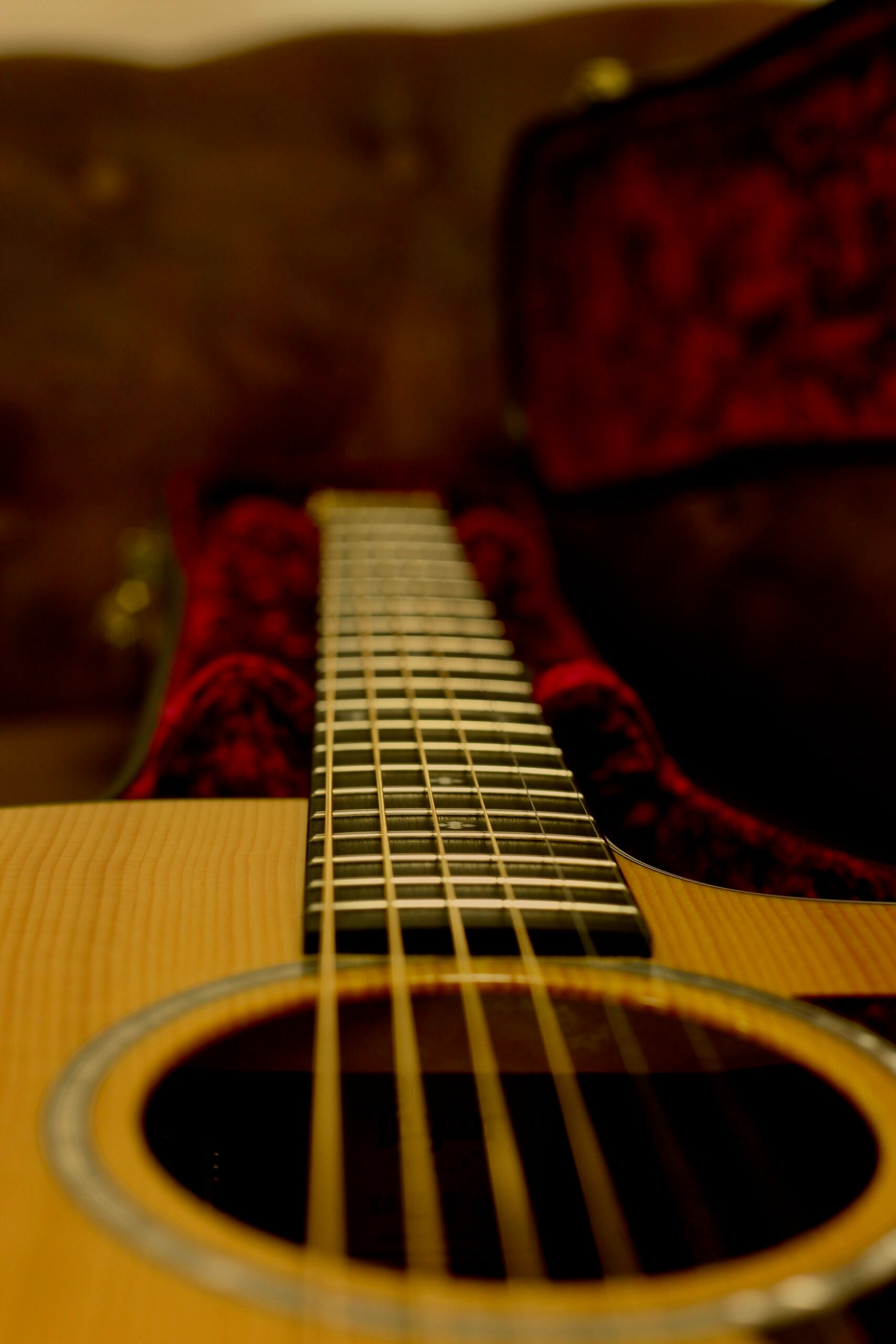 Taylor 214CE-SG LTD | Fumed Sweet Gum