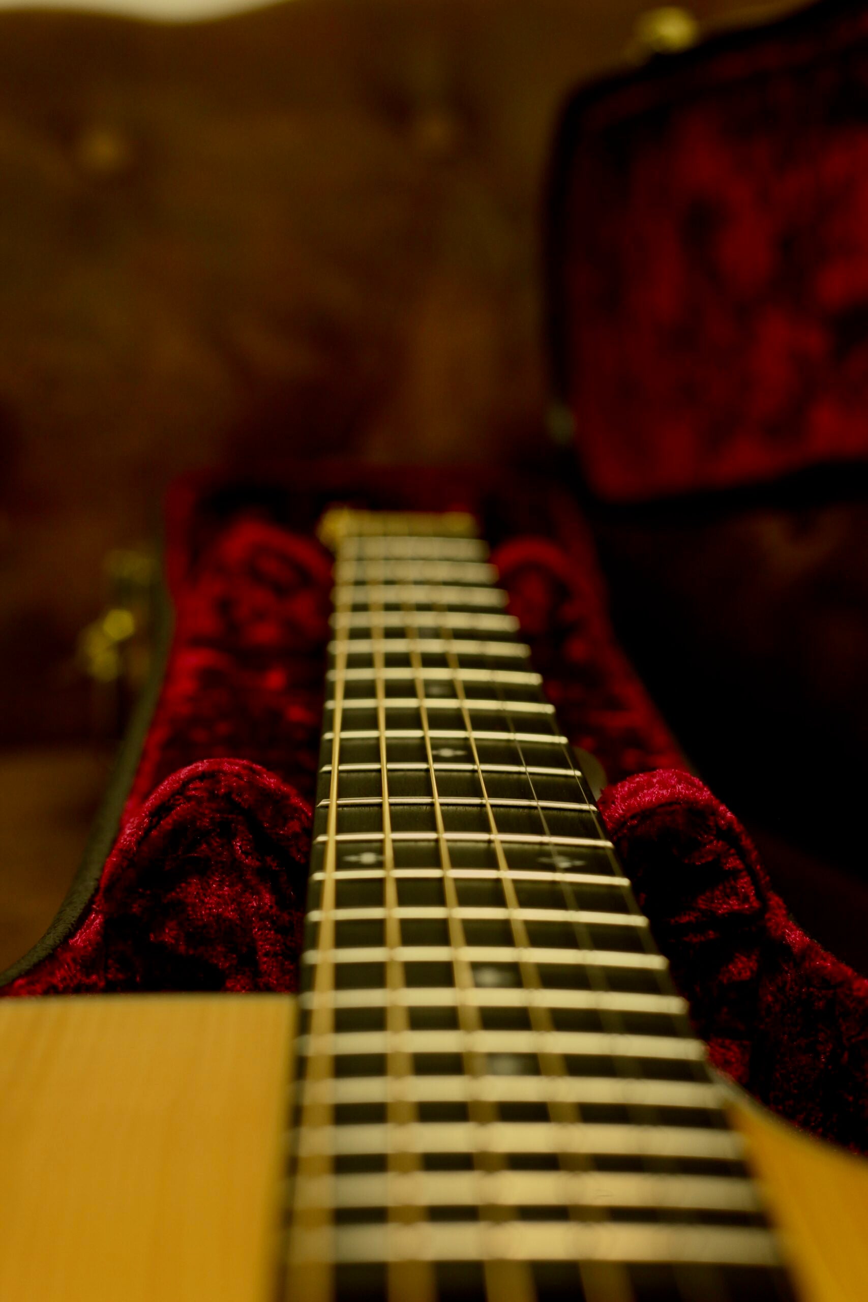 Taylor 214CE-SG LTD | Fumed Sweet Gum