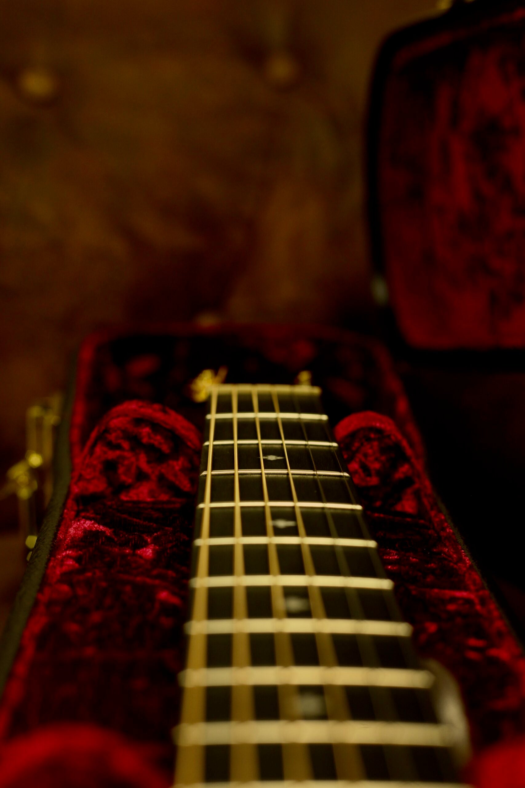 Taylor 214CE-SG LTD | Fumed Sweet Gum