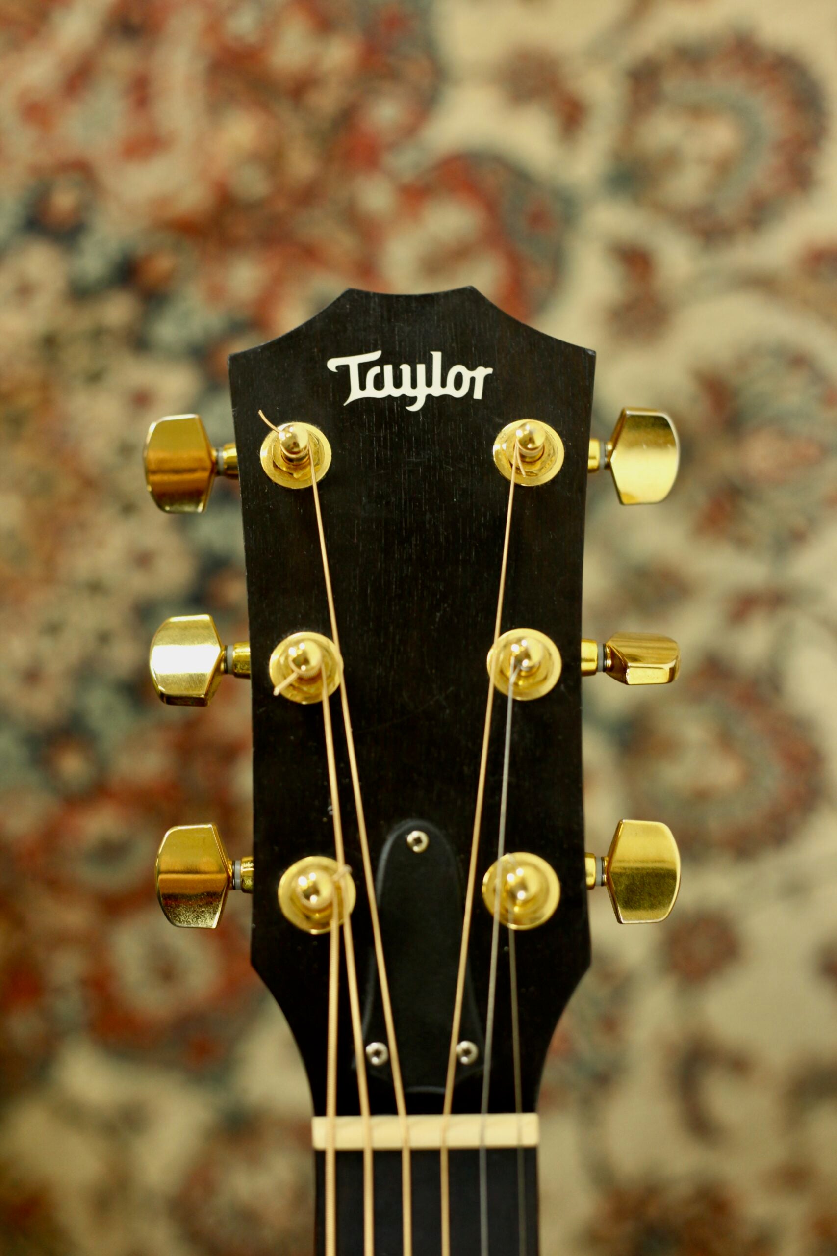 Taylor 214CE-SG LTD | Fumed Sweet Gum