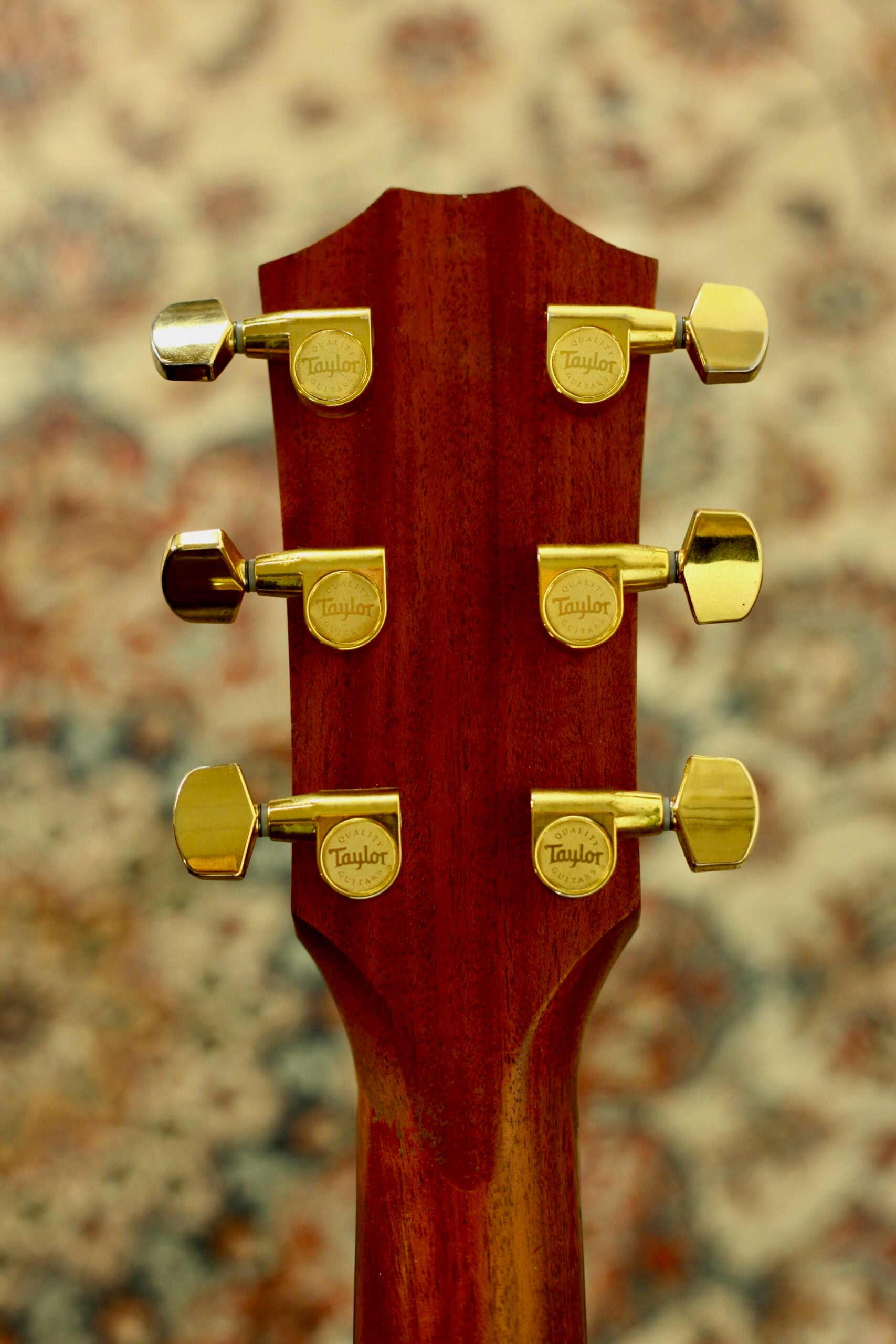 Taylor 214CE-SG LTD | Fumed Sweet Gum