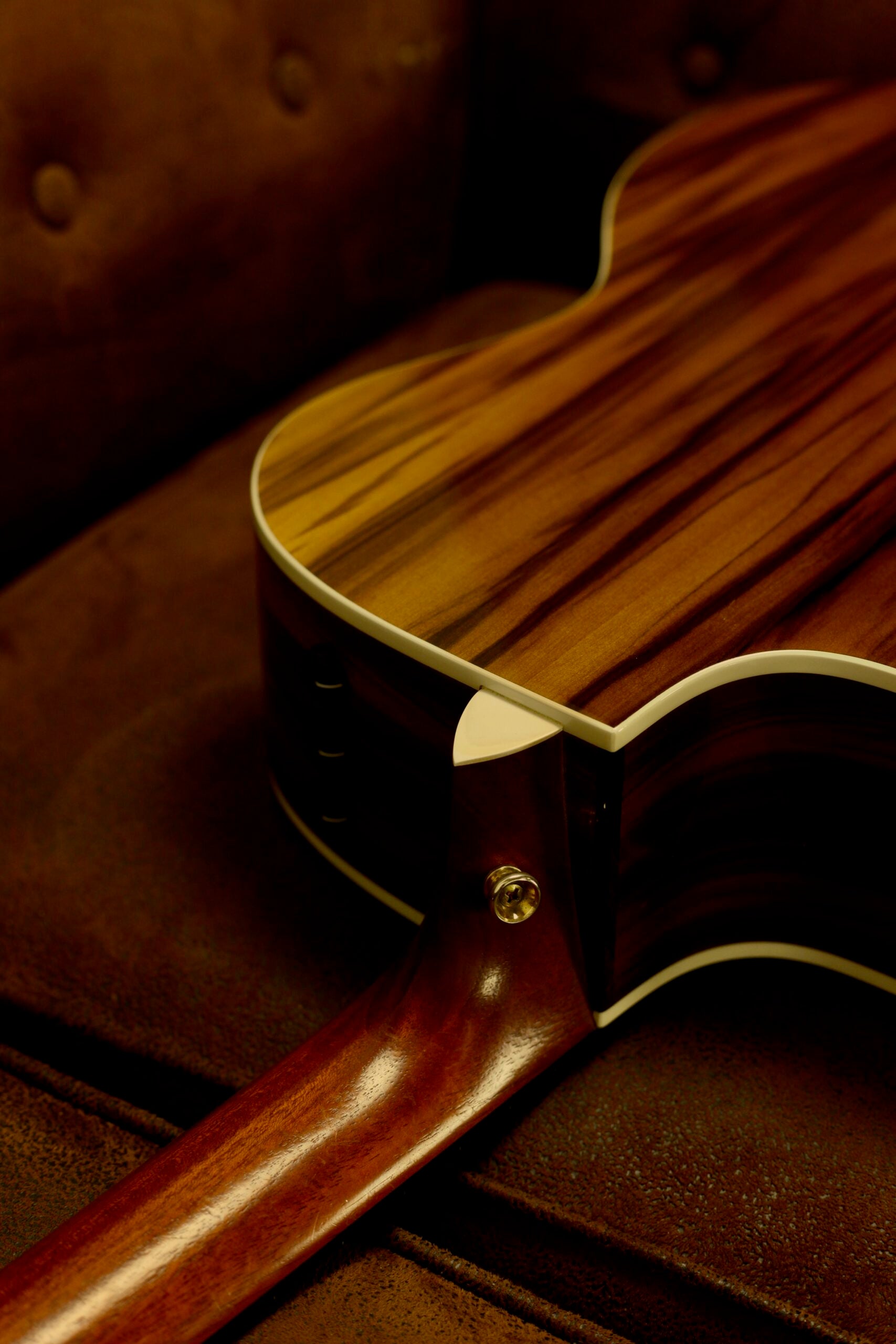 Taylor 214CE-SG LTD | Fumed Sweet Gum