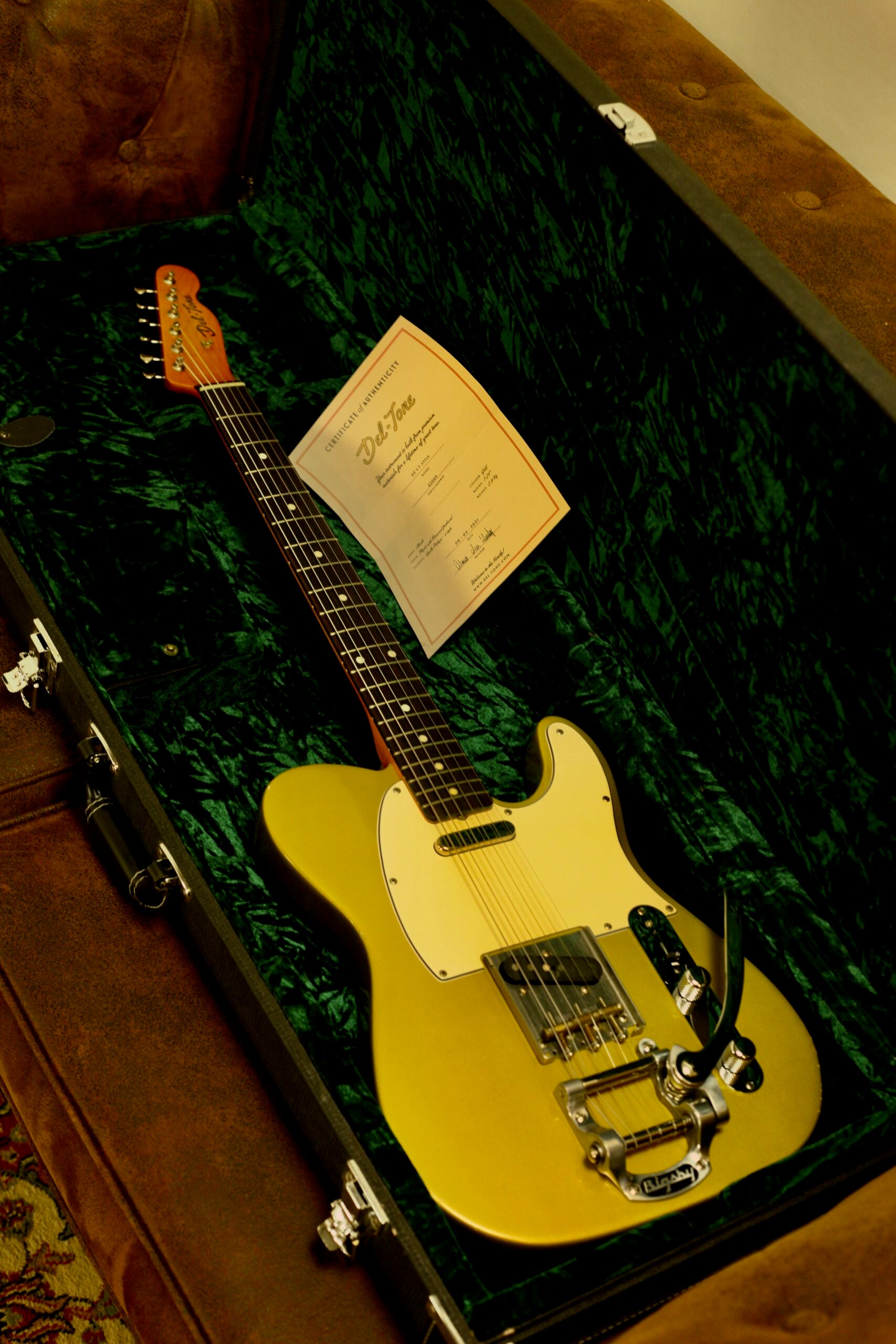 Del-Tone 60's T-style Bigsby | Gold