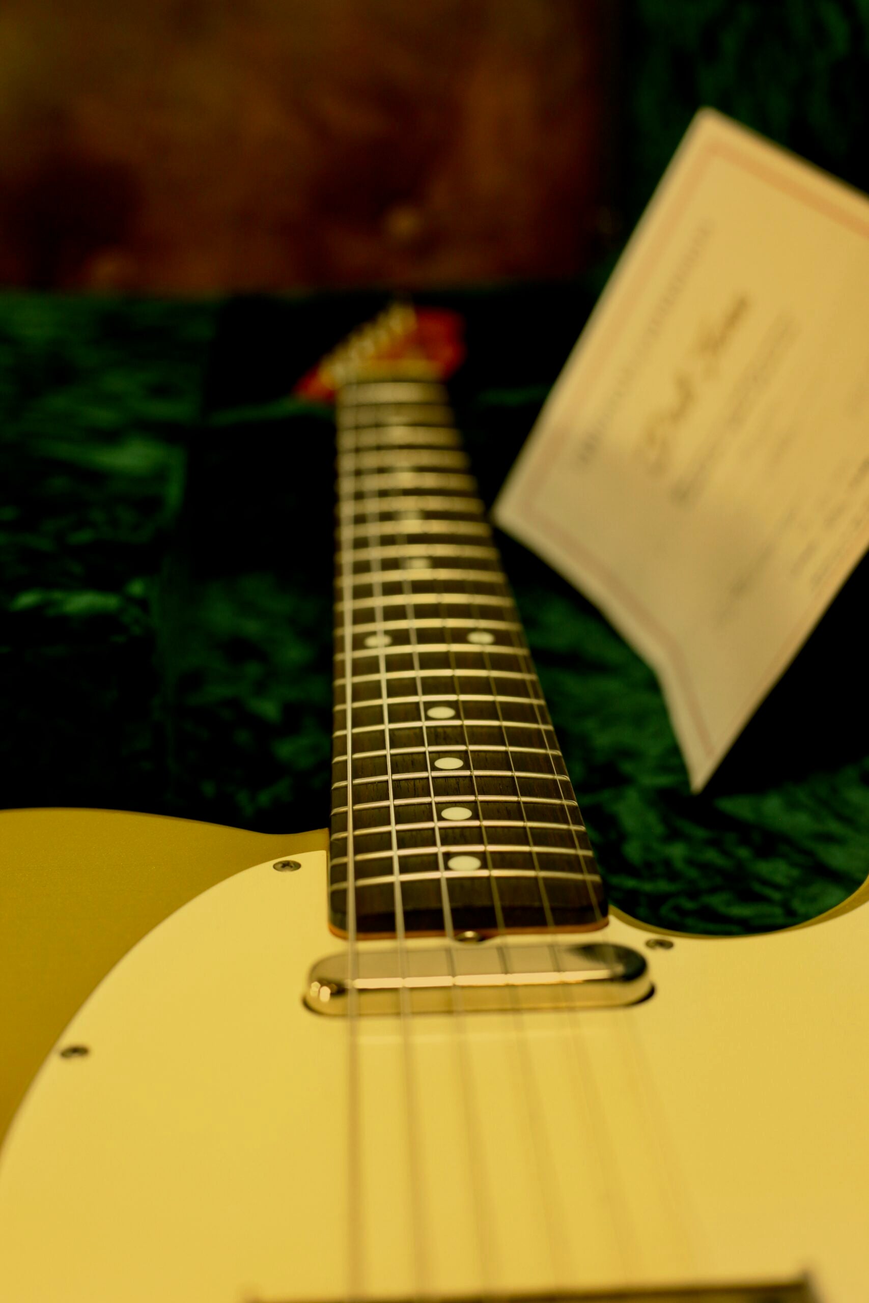 Del-Tone 60's T-style Bigsby | Gold