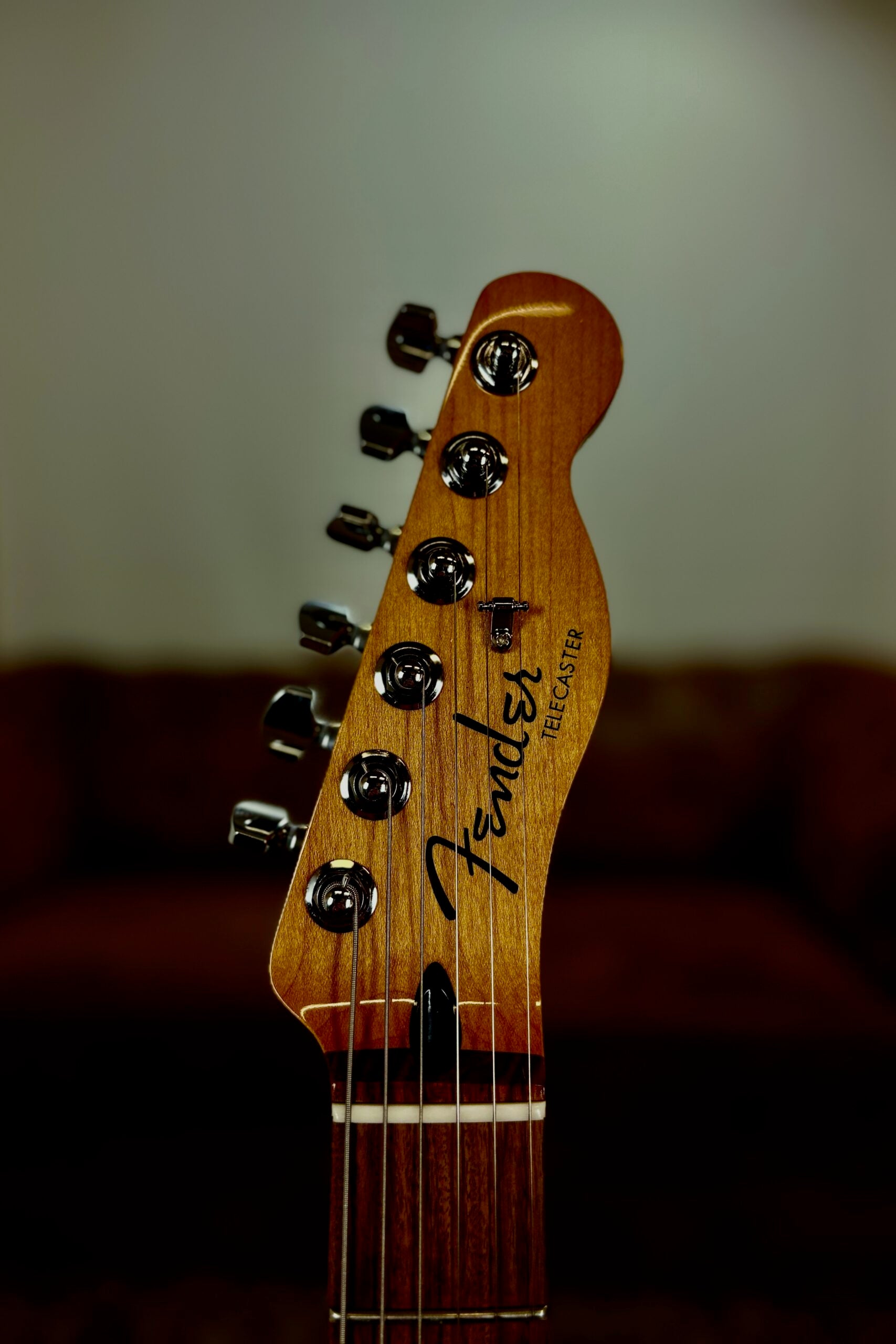 Fender Player Plus Telecaster 2021 | Silver Smoke