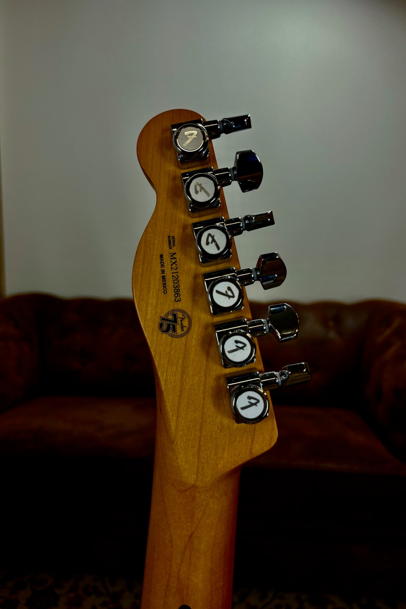 Fender Player Plus Telecaster 2021 | Silver Smoke