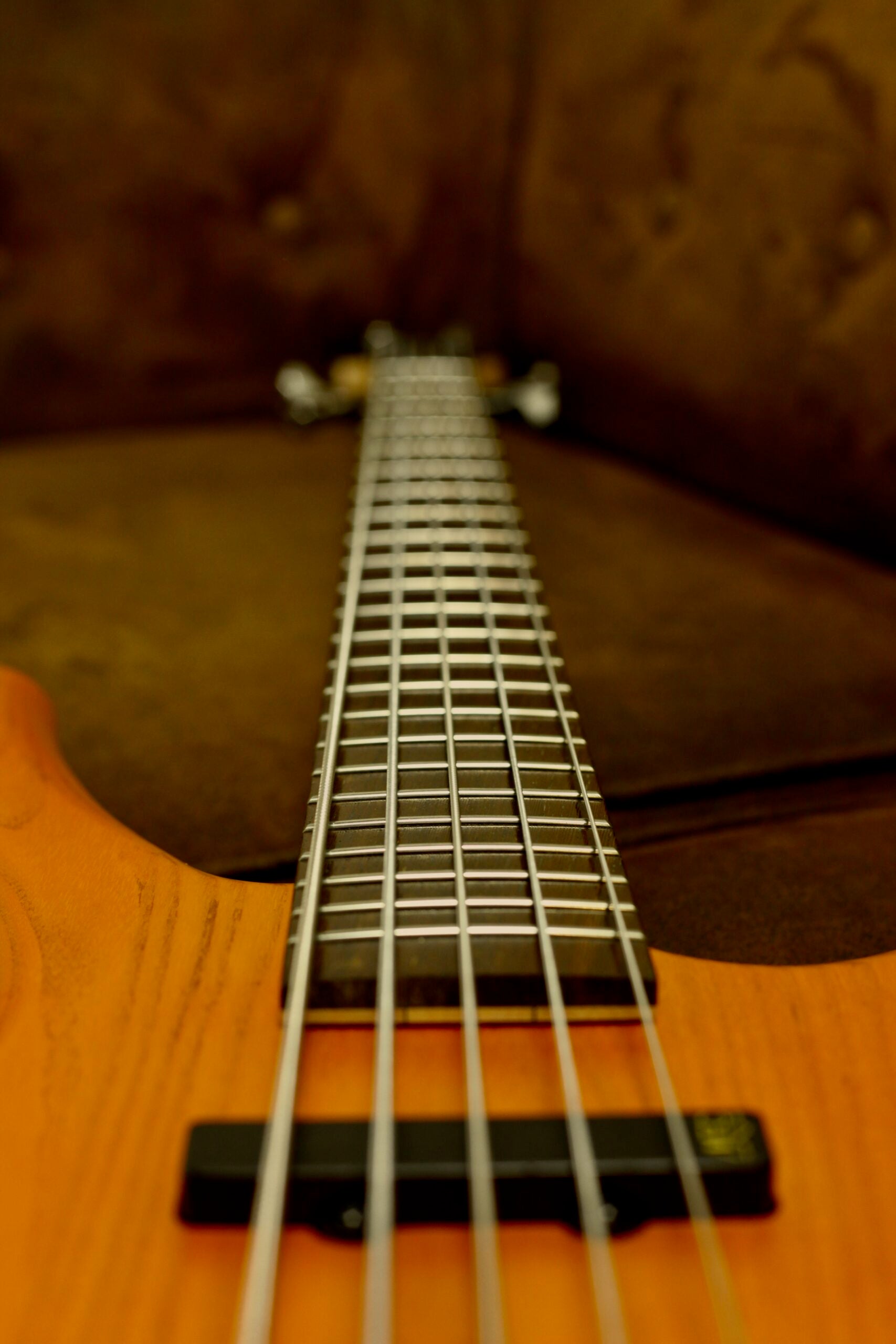 Warwick Rockbass Fortress 5 2023 | Honey Violin
