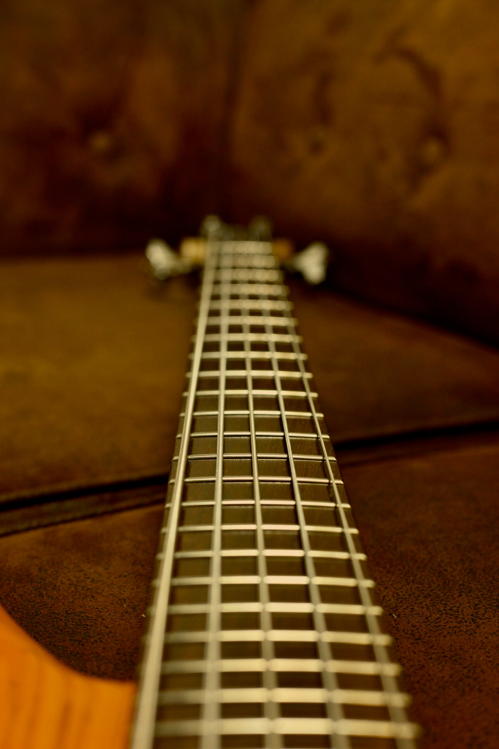 Warwick Rockbass Fortress 5 2023 | Honey Violin
