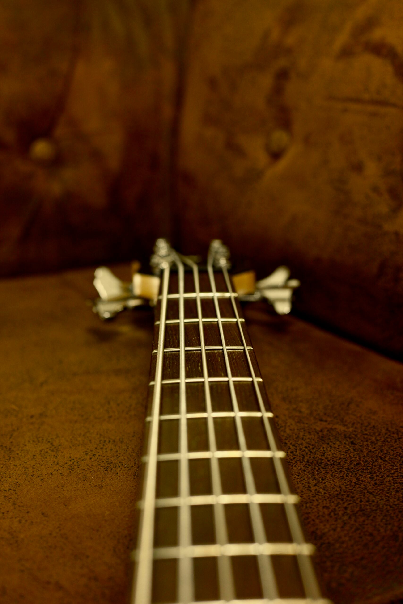 Warwick Rockbass Fortress 5 2023 | Honey Violin