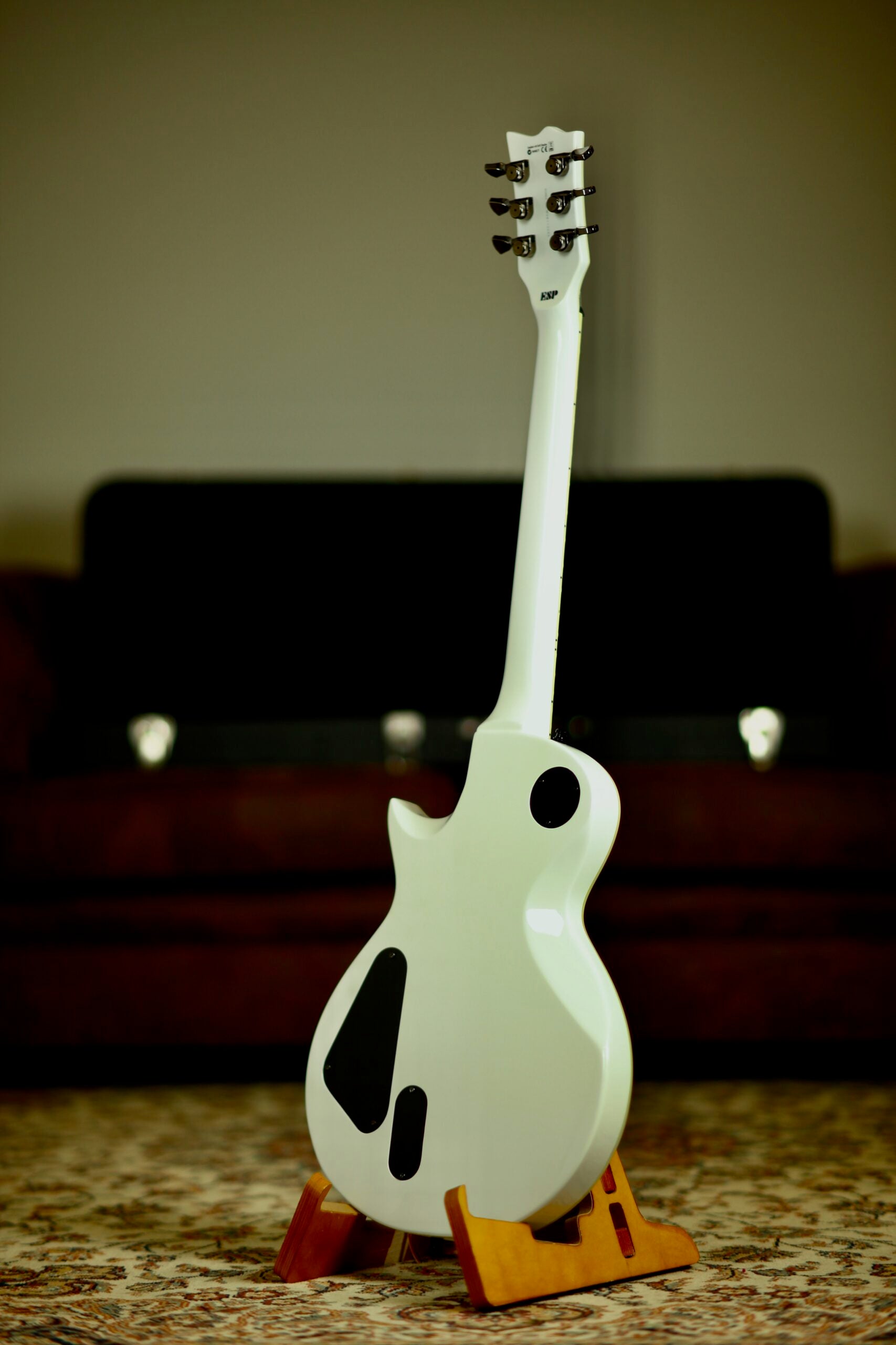 ESP LTD EC-1000 2008 | Snow White