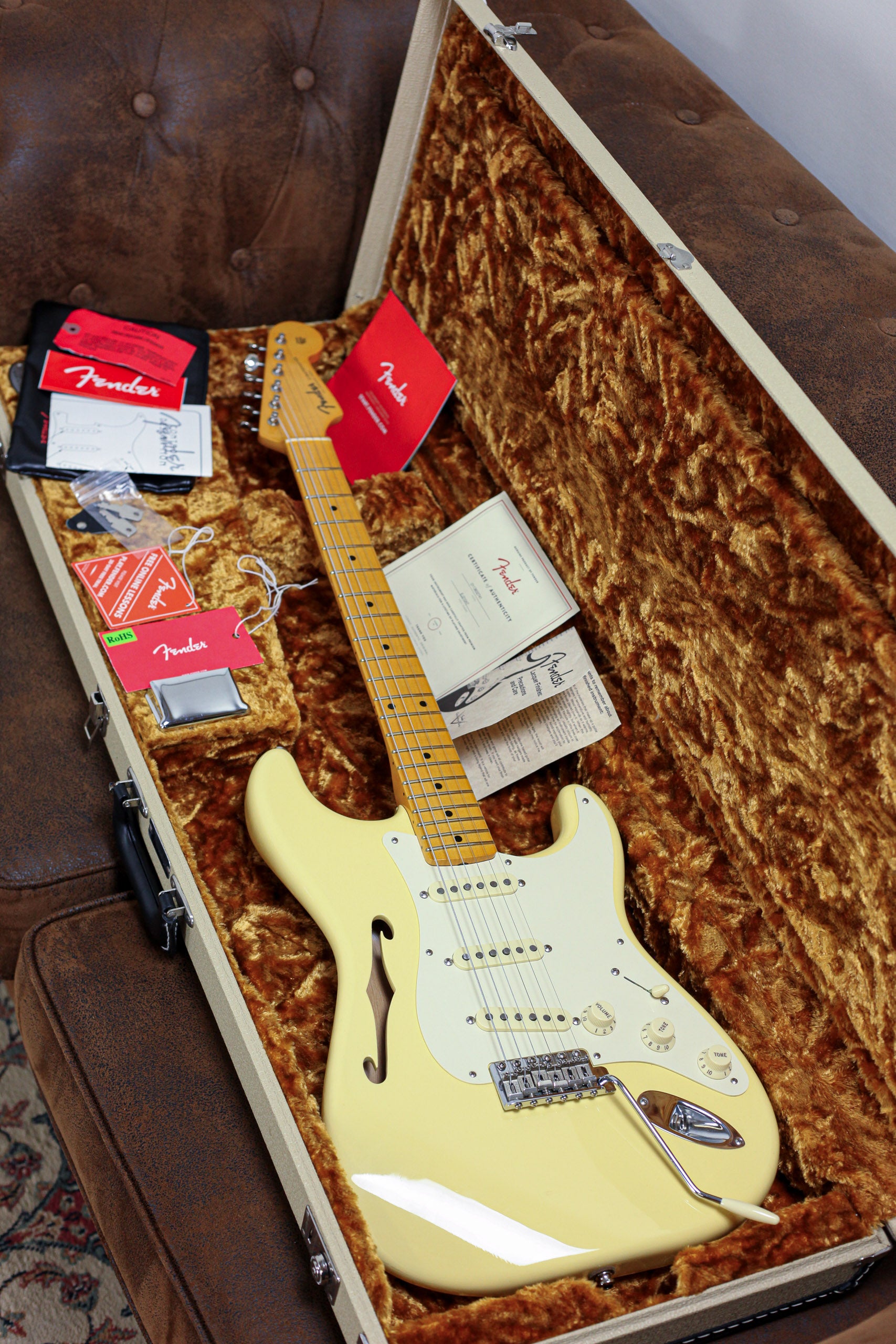 Fender Eric Johnson Thinline Stratocaster MN | Blonde