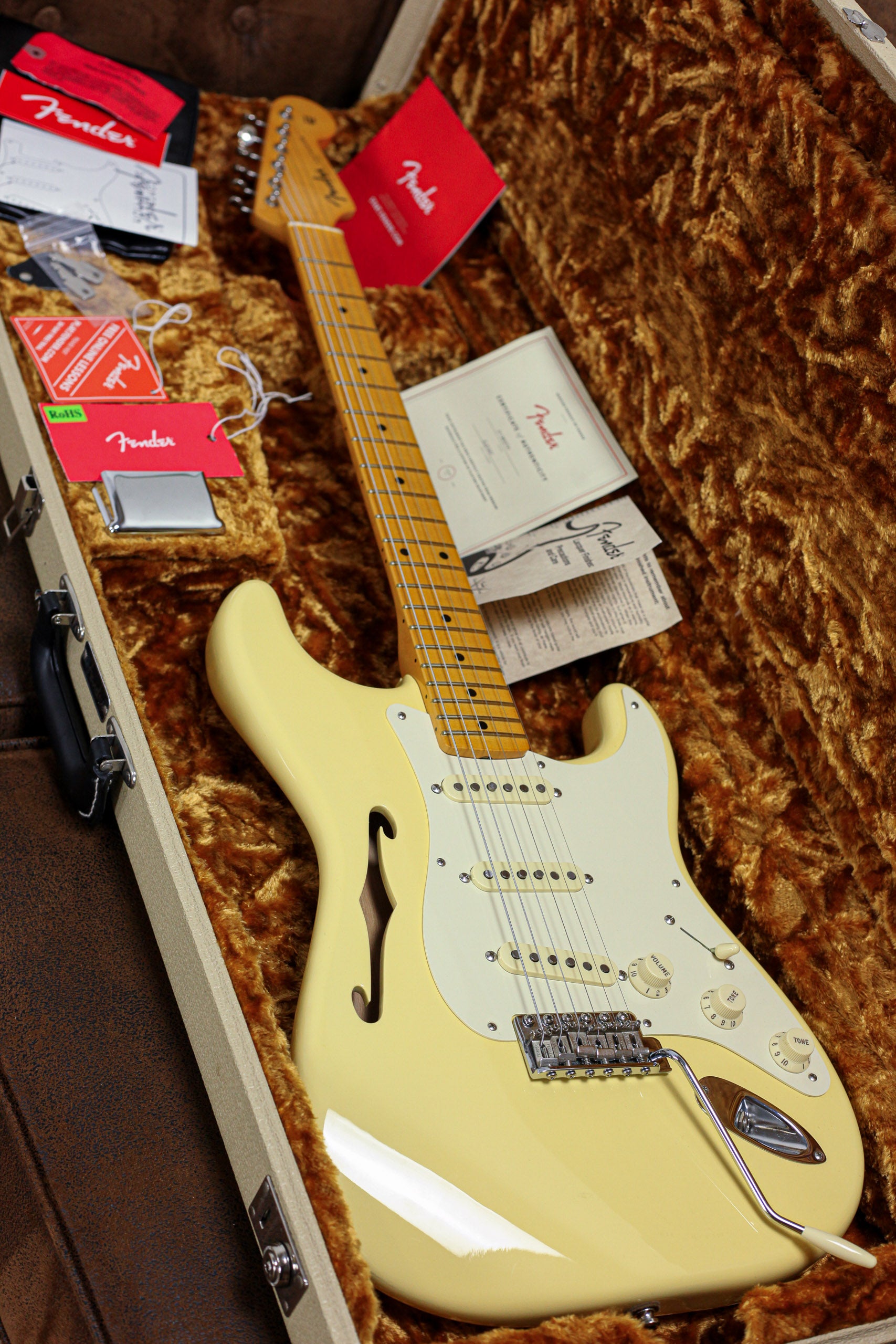 Fender Eric Johnson Thinline Stratocaster MN | Blonde